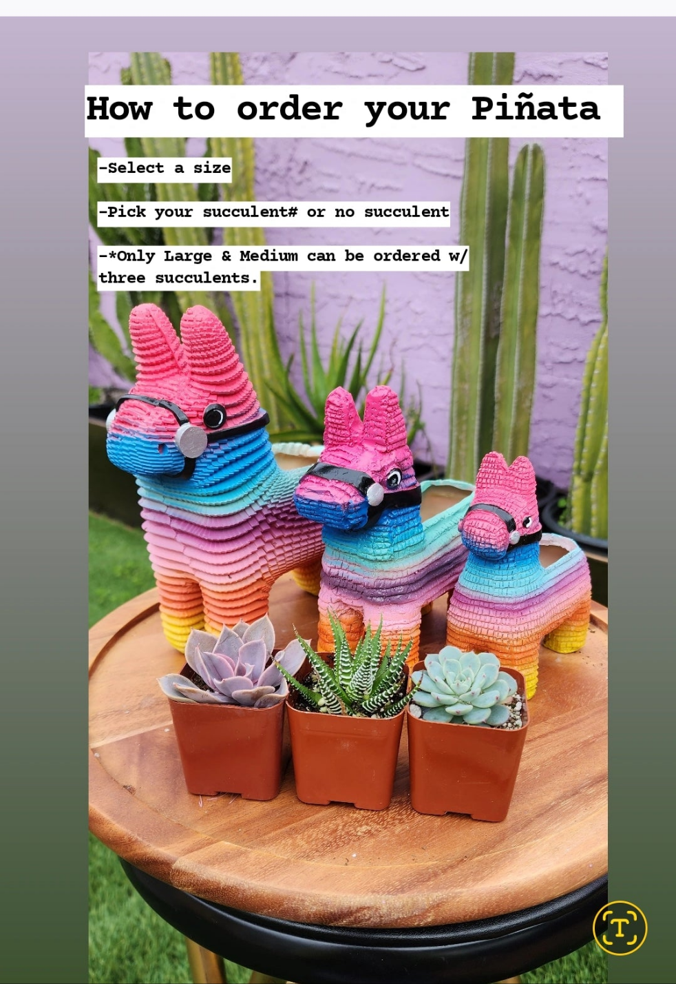 Piñata Planter ORIGINAL CREATOR