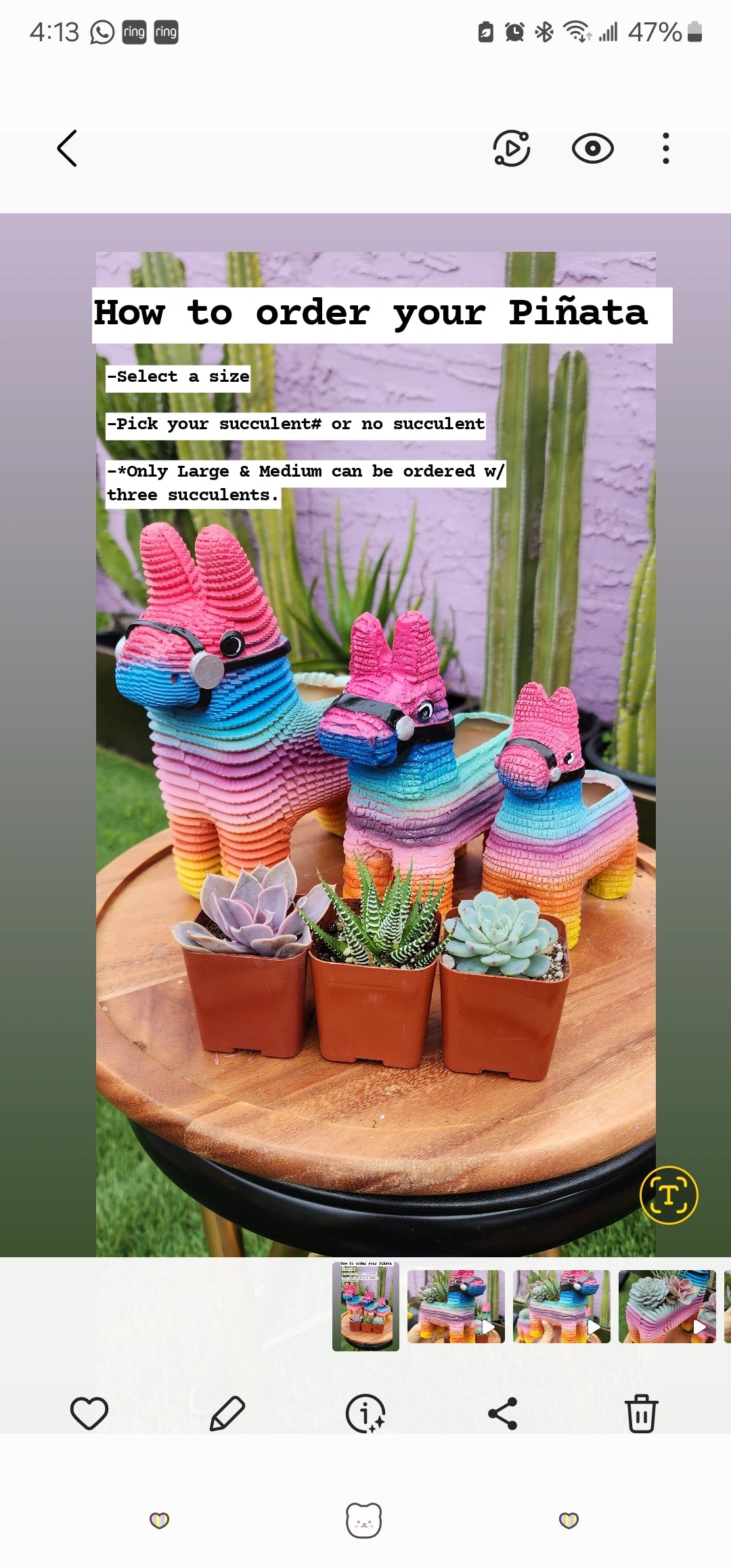 Piñata Planter ORIGINAL CREATOR