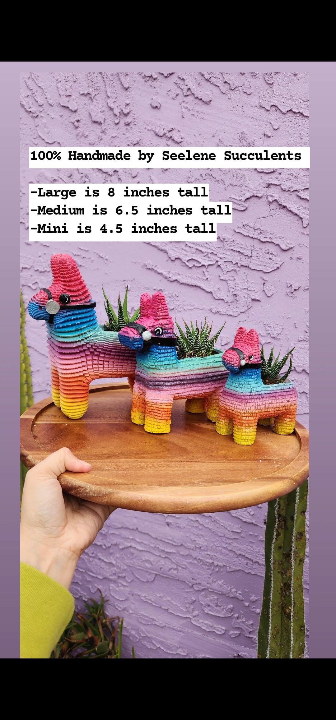 Piñata Planter ORIGINAL CREATOR