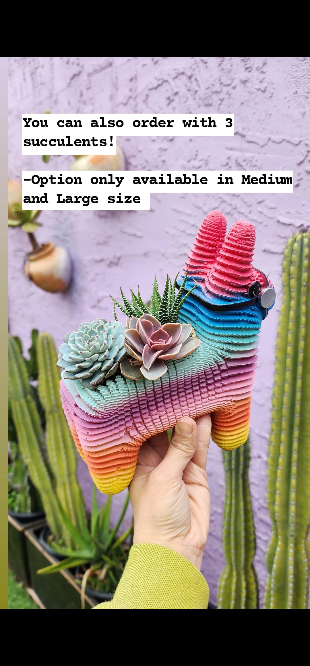 Piñata Planter ORIGINAL CREATOR