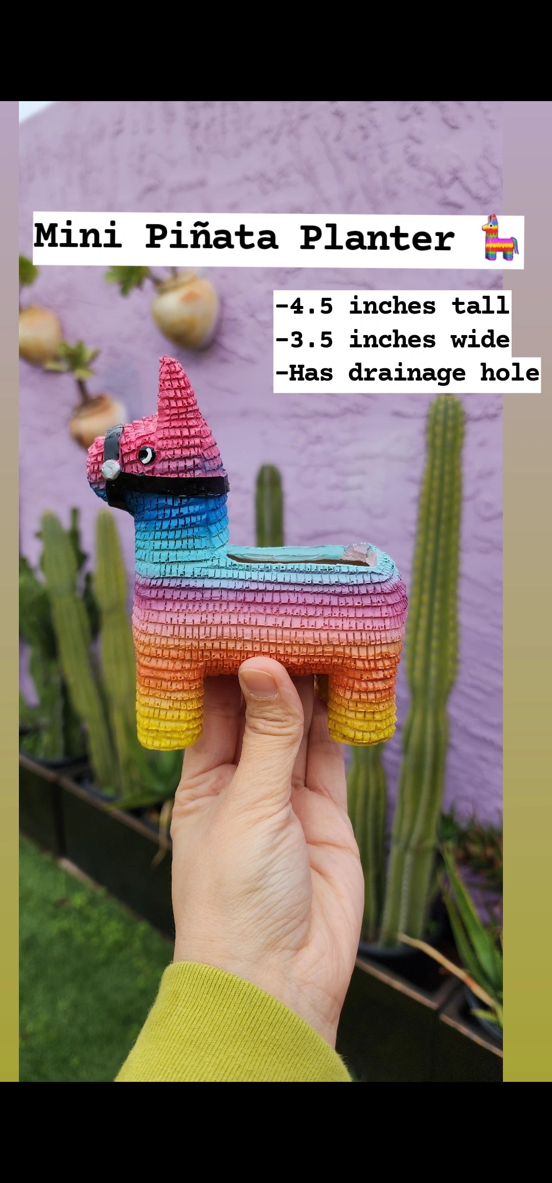 Piñata Planter ORIGINAL CREATOR