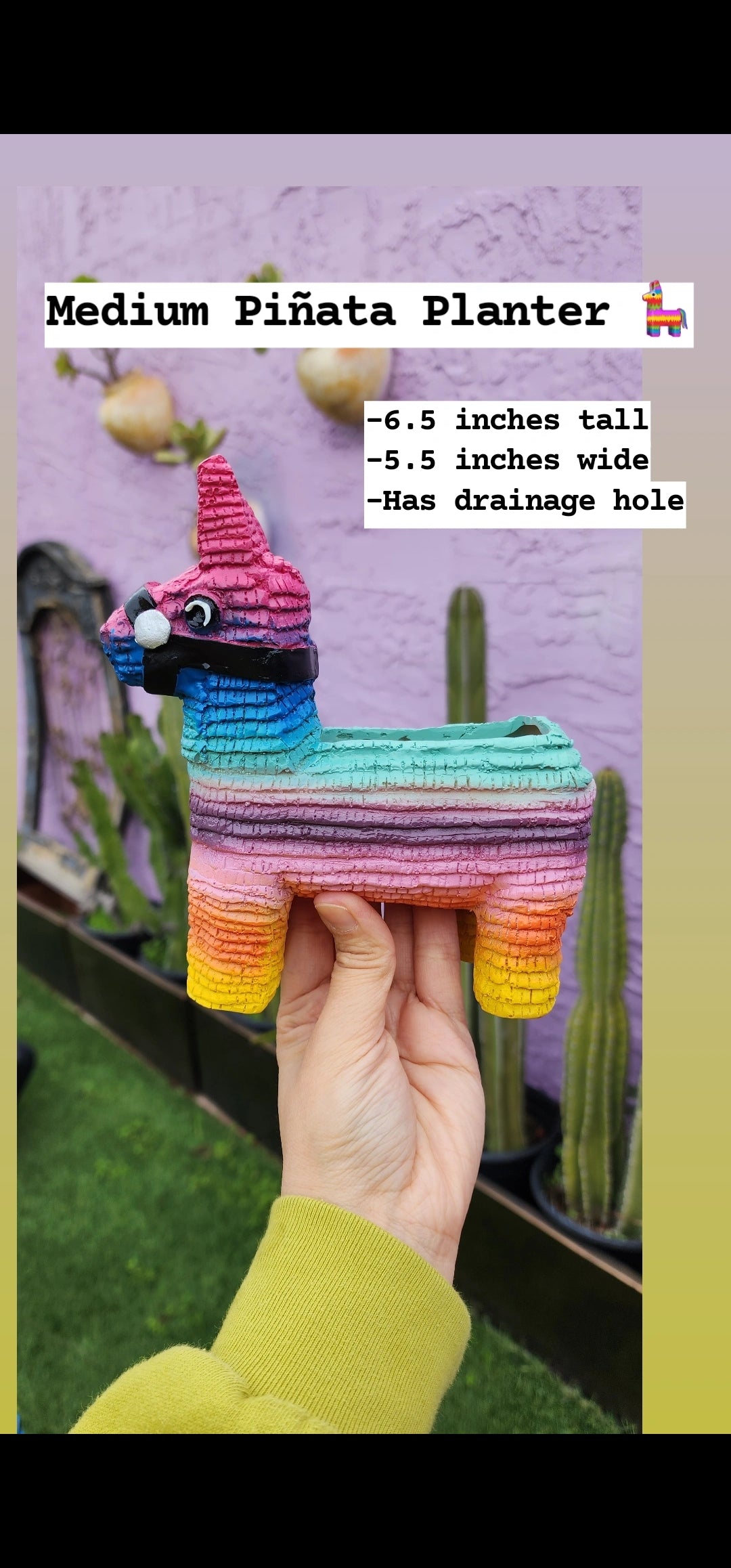 Piñata Planter ORIGINAL CREATOR