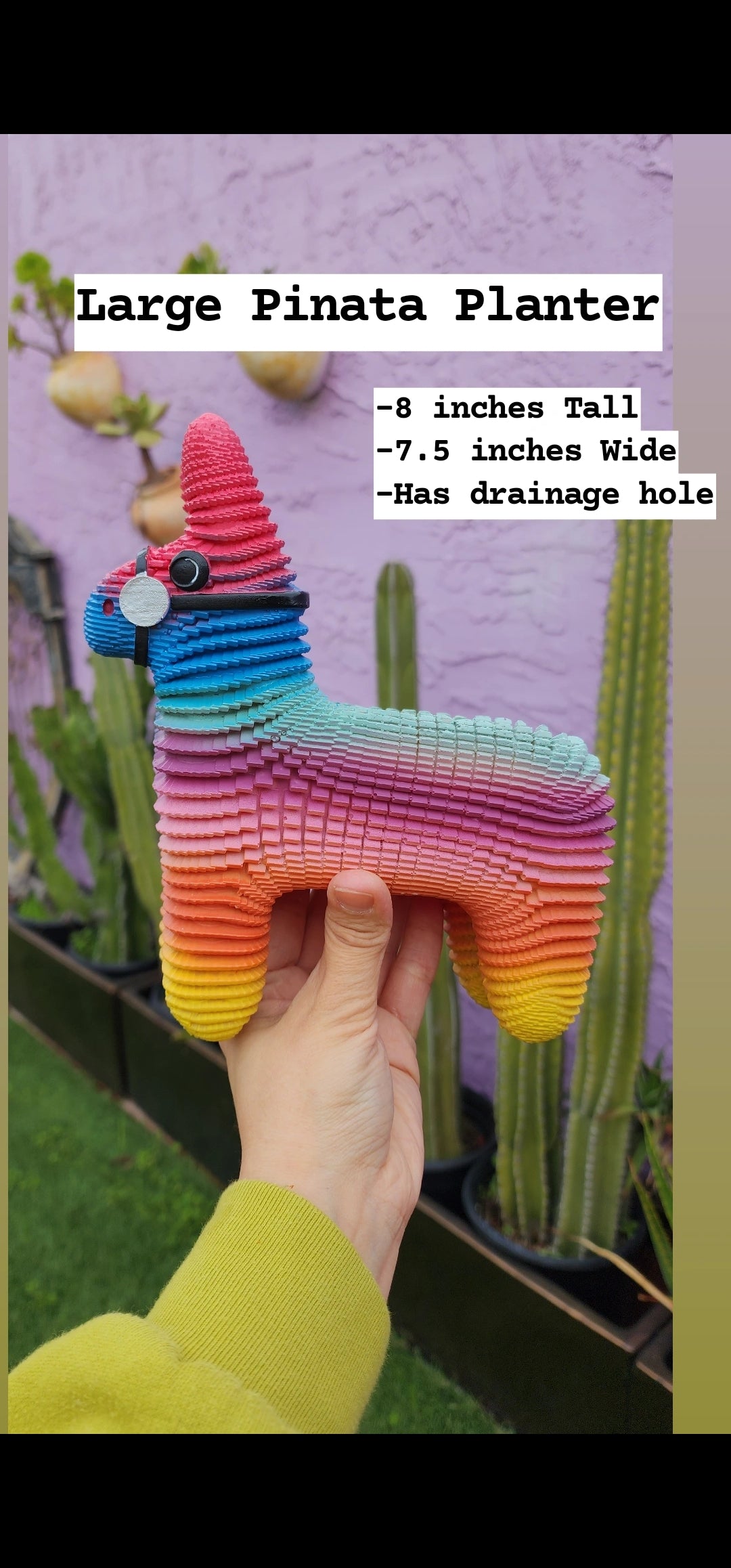 Piñata Planter ORIGINAL CREATOR