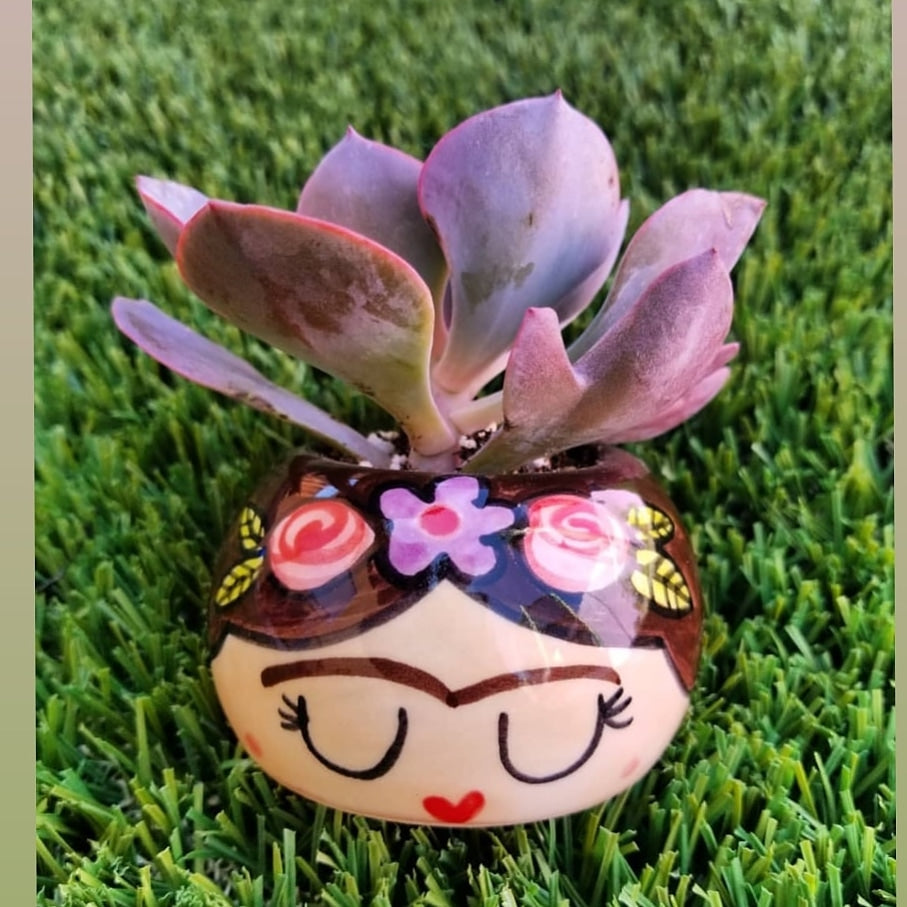 FRIDITA Small Succulent Planter