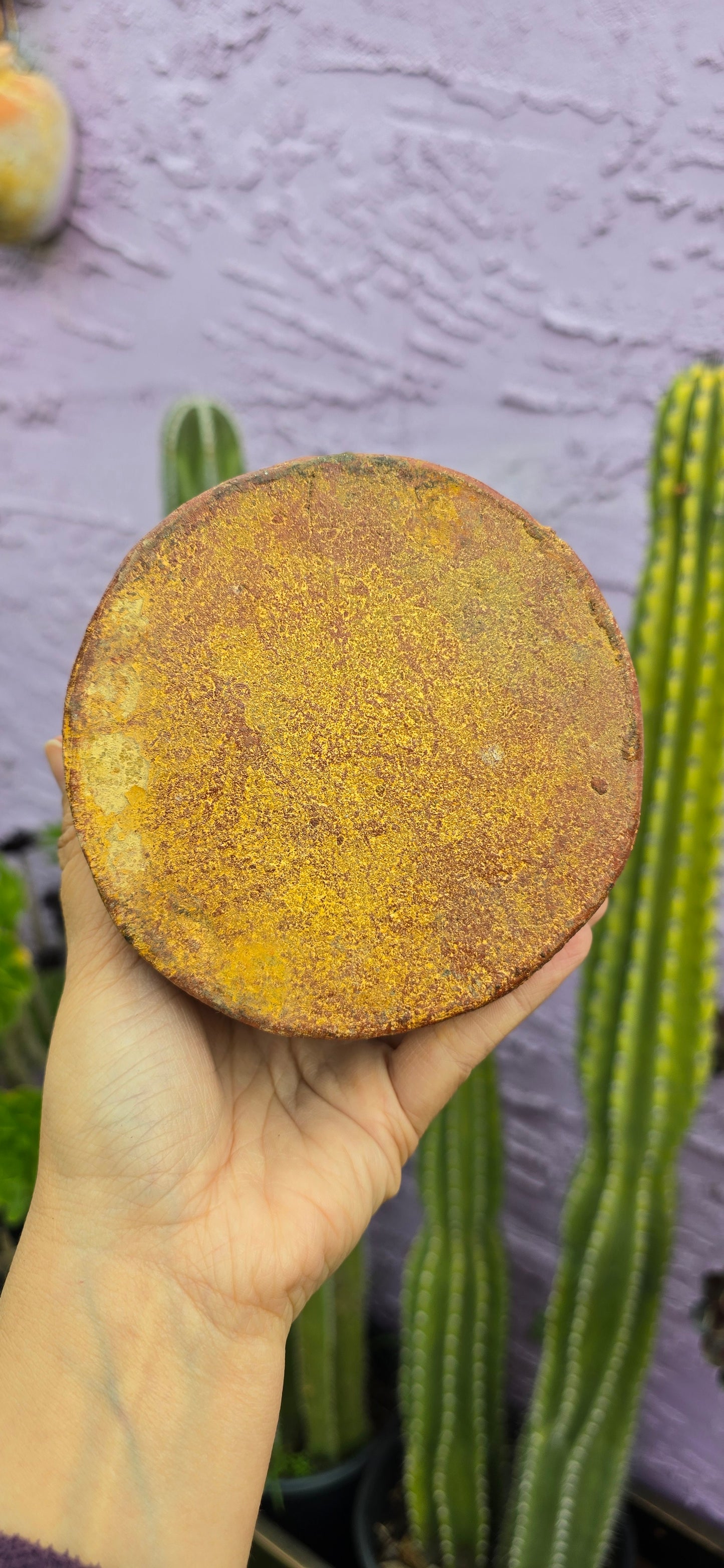 Circle of Friends and Family