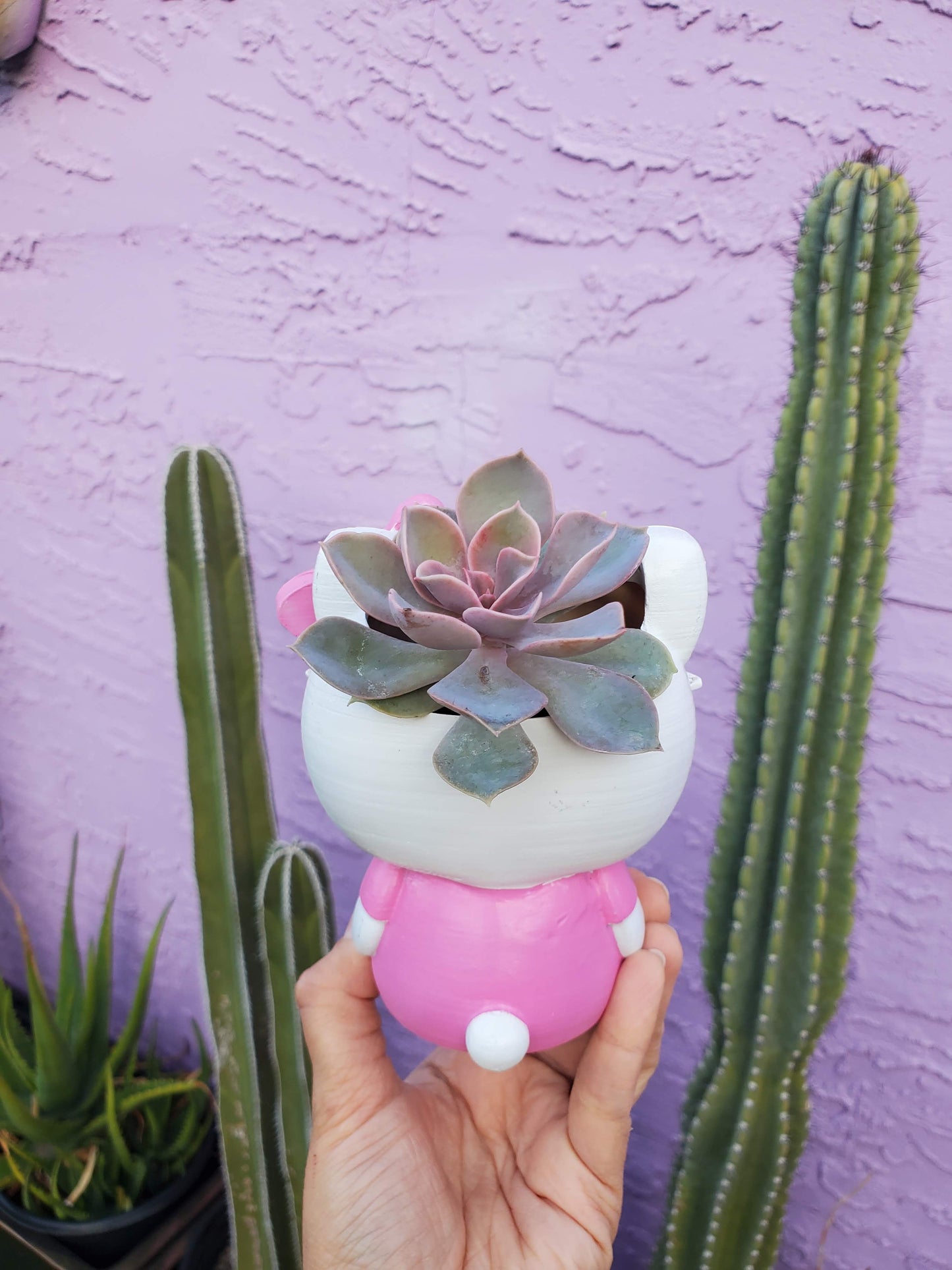 Hello Kitty Planter, DIY