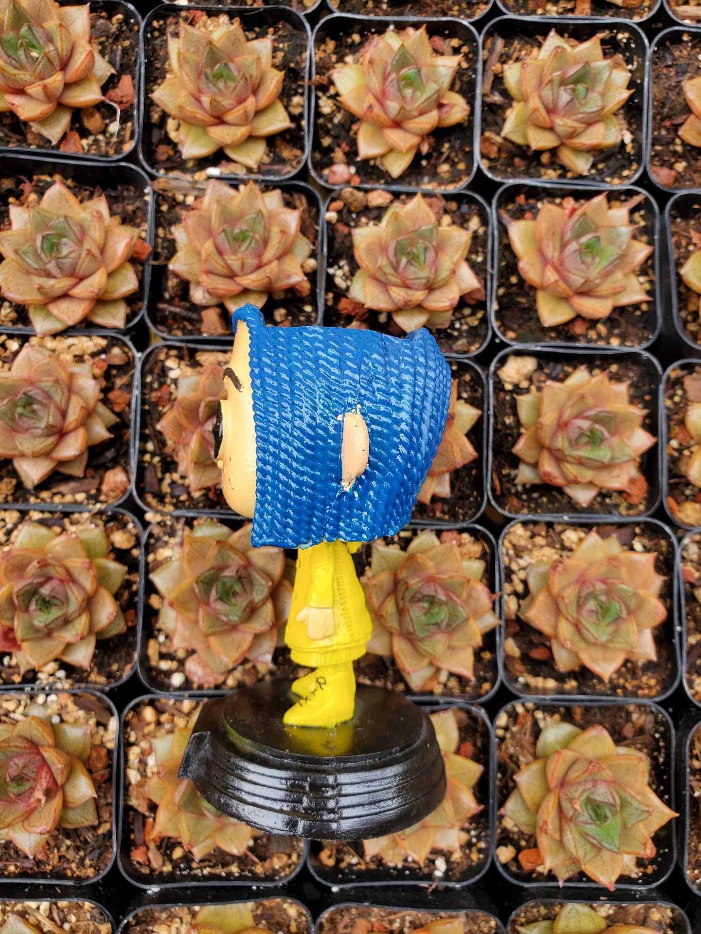 Coraline Funko Planter!