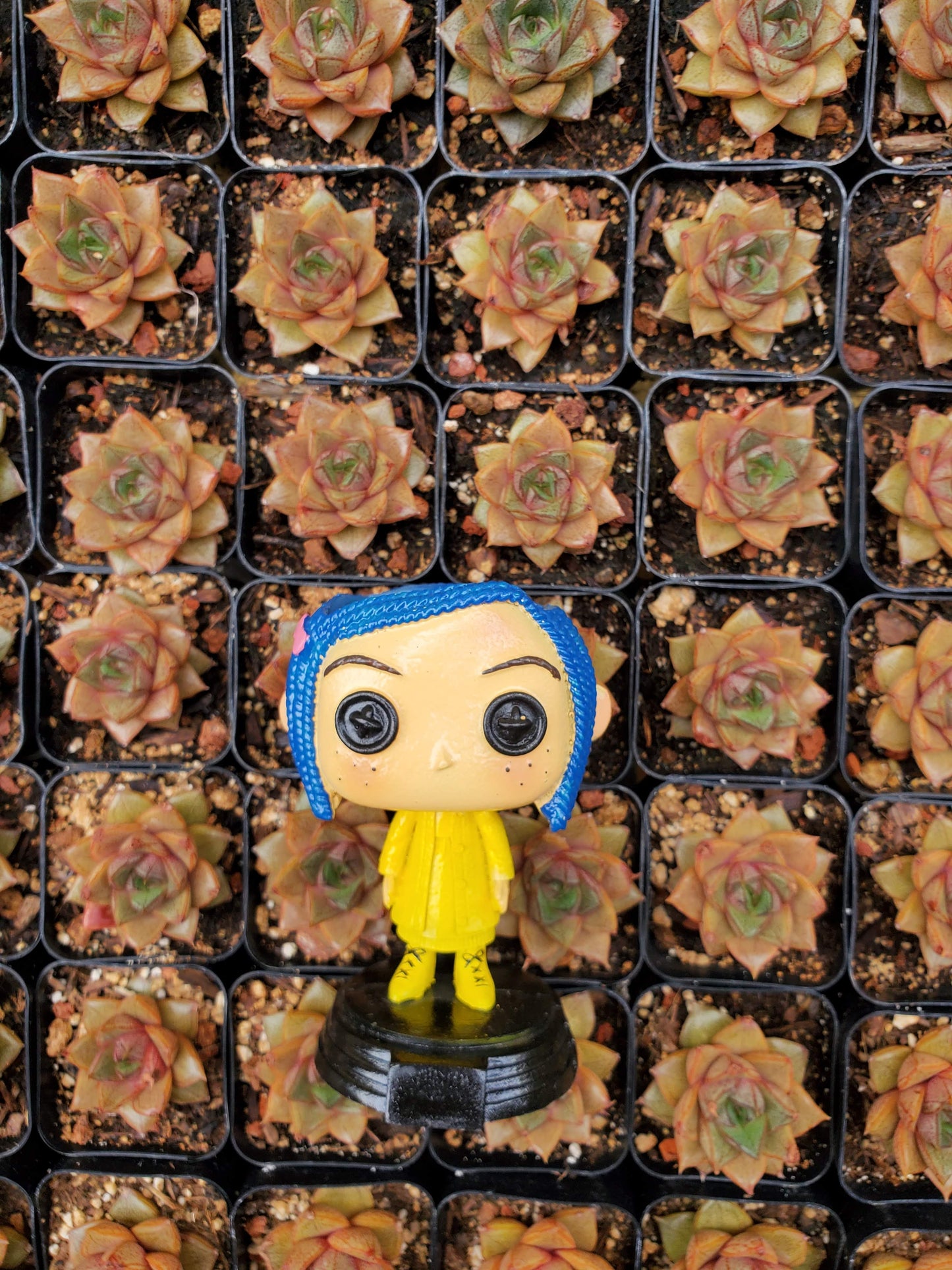Coraline Funko Planter!