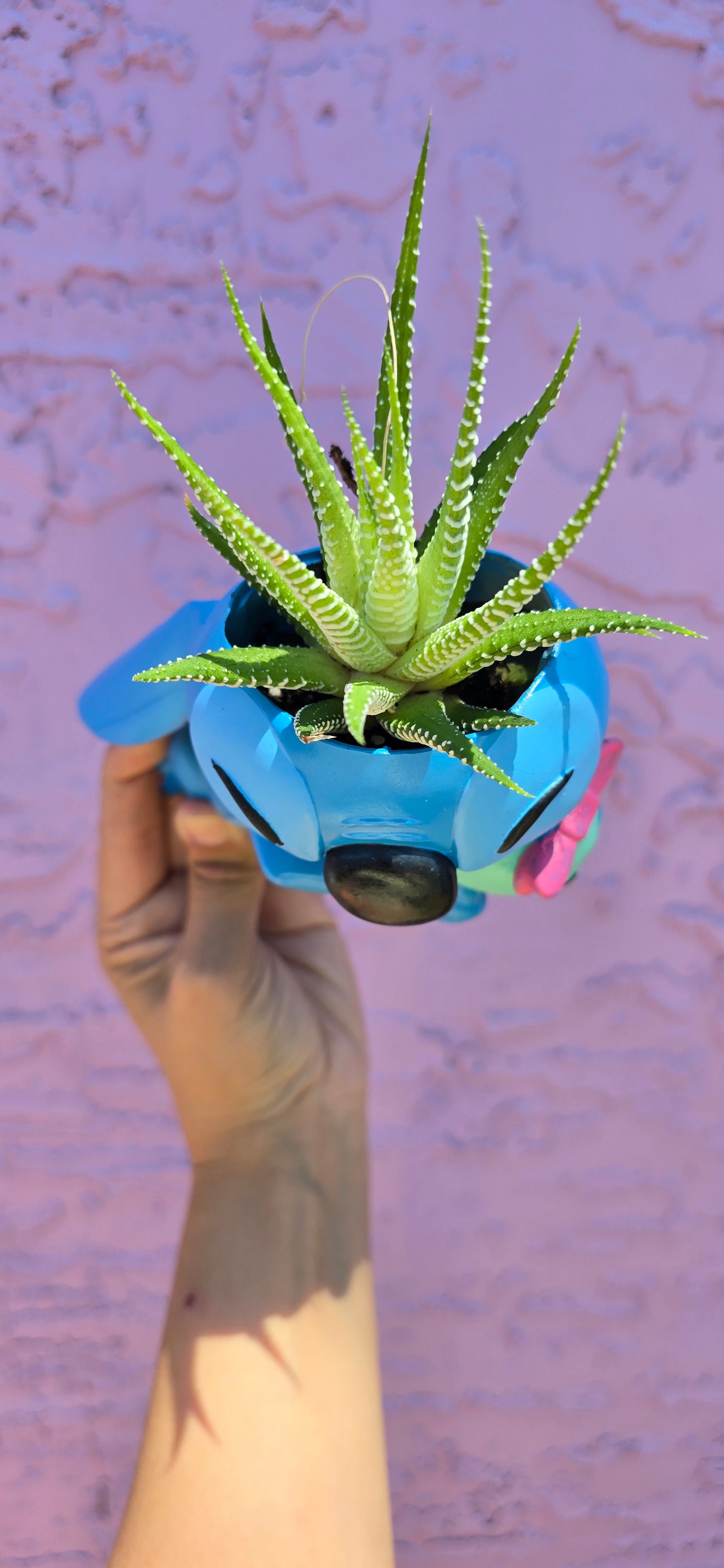 Stich Hugs Planter