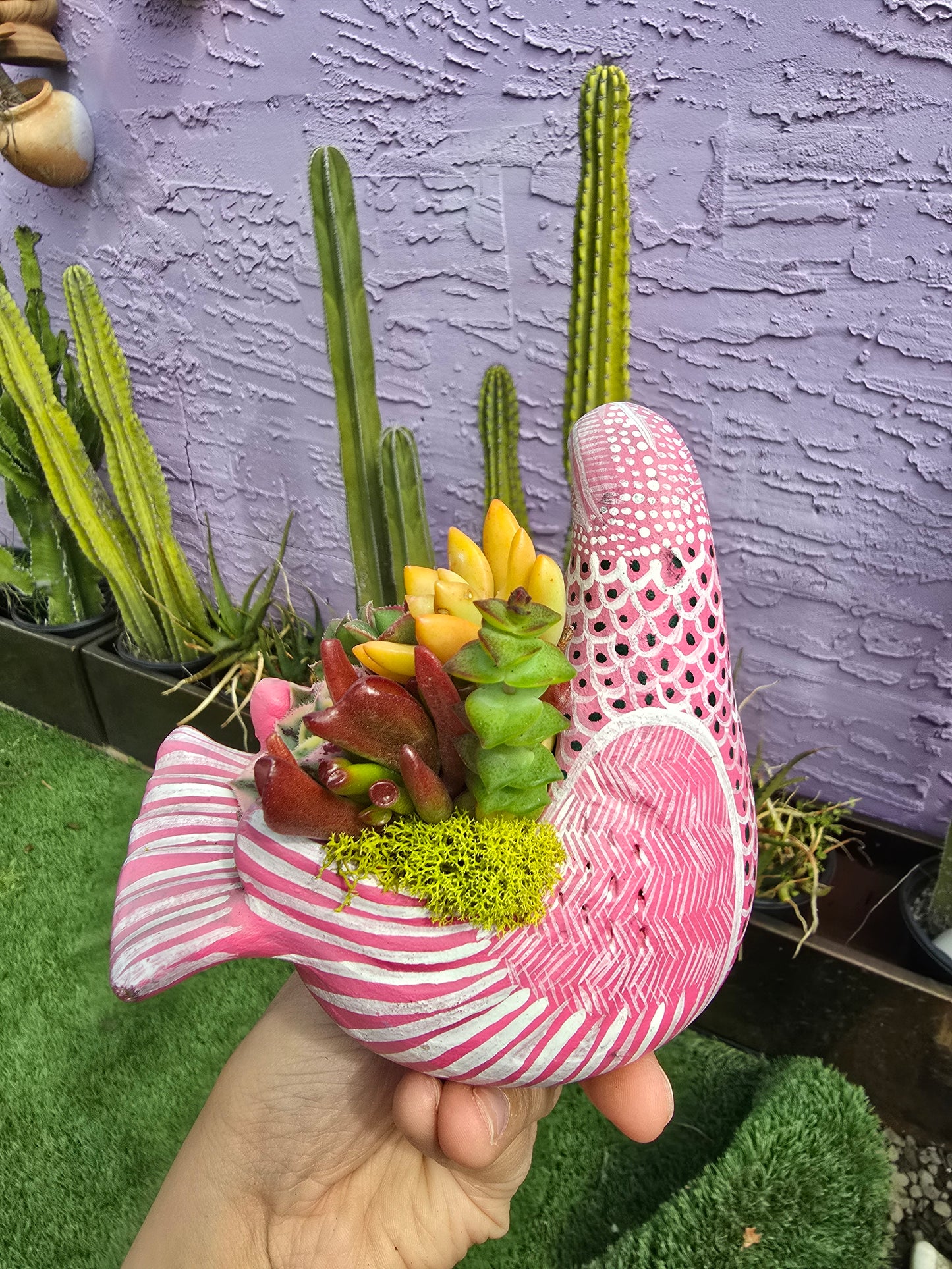 Palomita Planter ships made!
