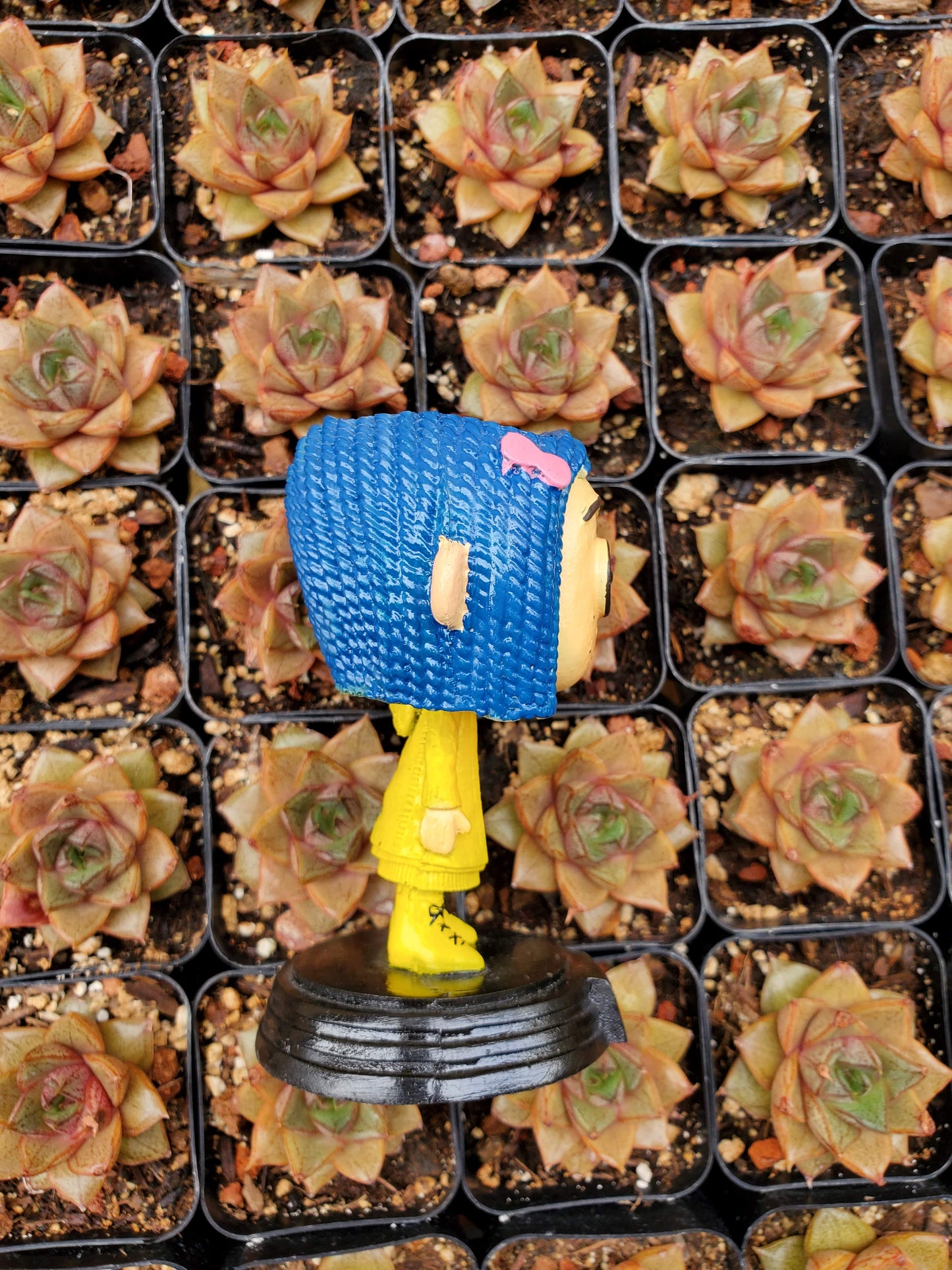 Coraline Funko Planter!