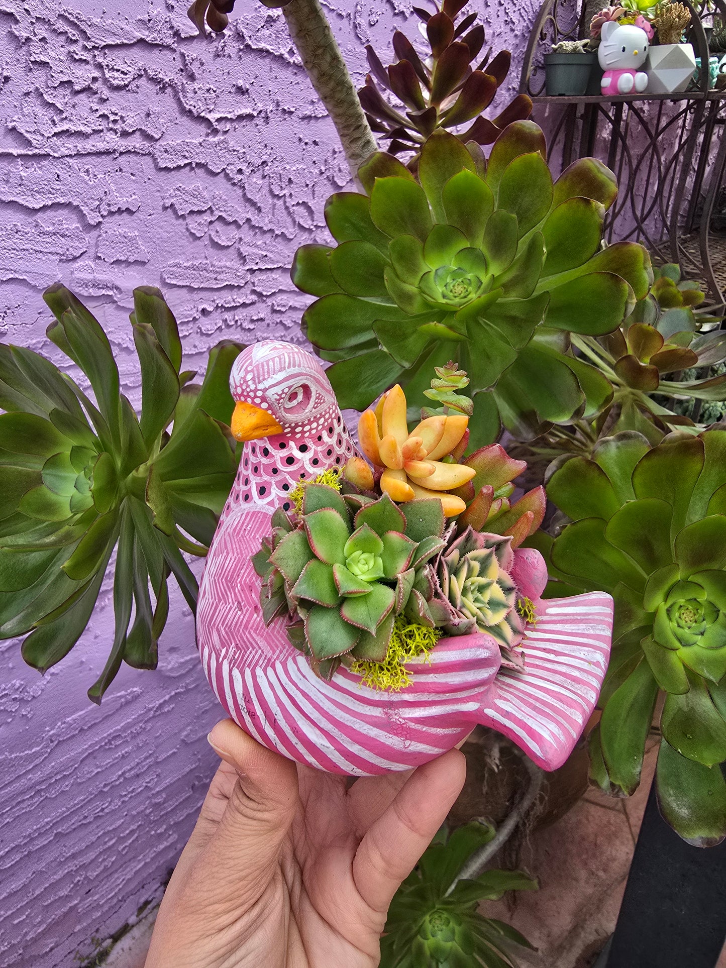 Palomita Planter ships made!