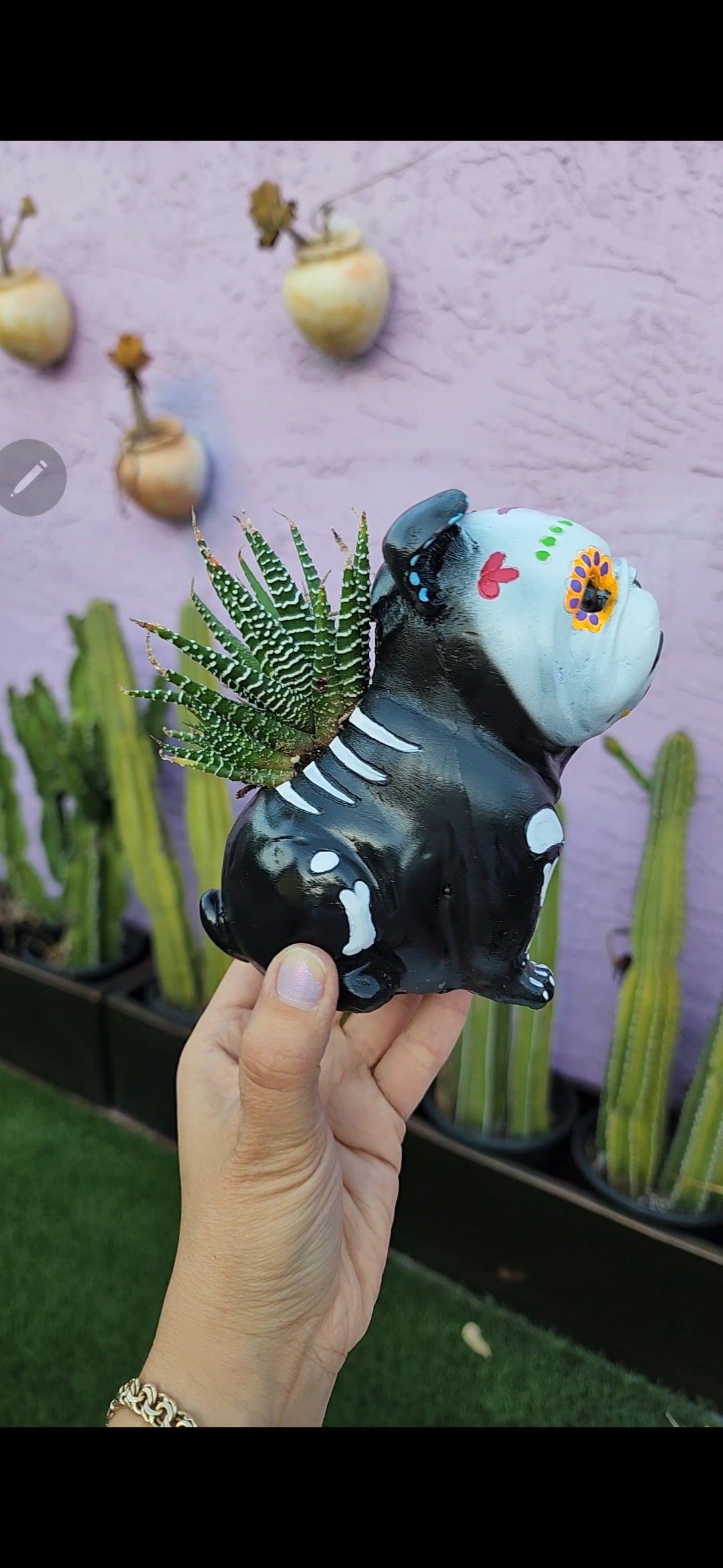 Day of the Dead Doggy planter DIY
