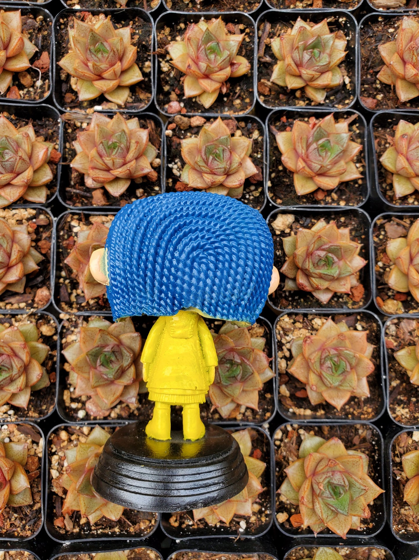 Coraline Funko Planter!