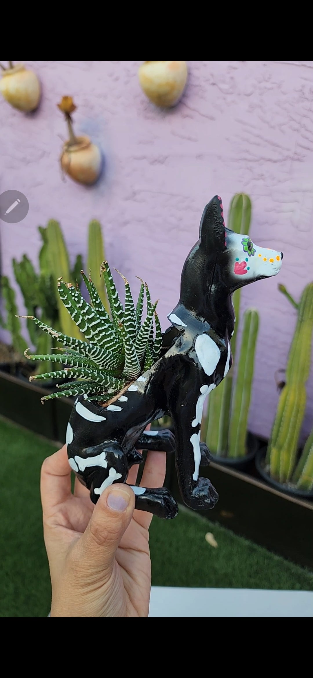 Day of the Dead Doggy planter DIY