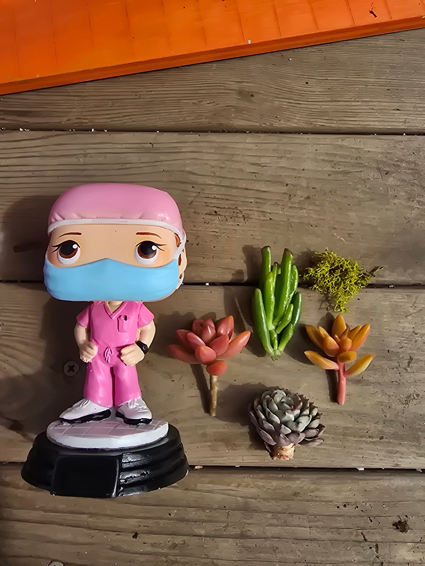 DOCTOR or RN Funko Planter! DIY
