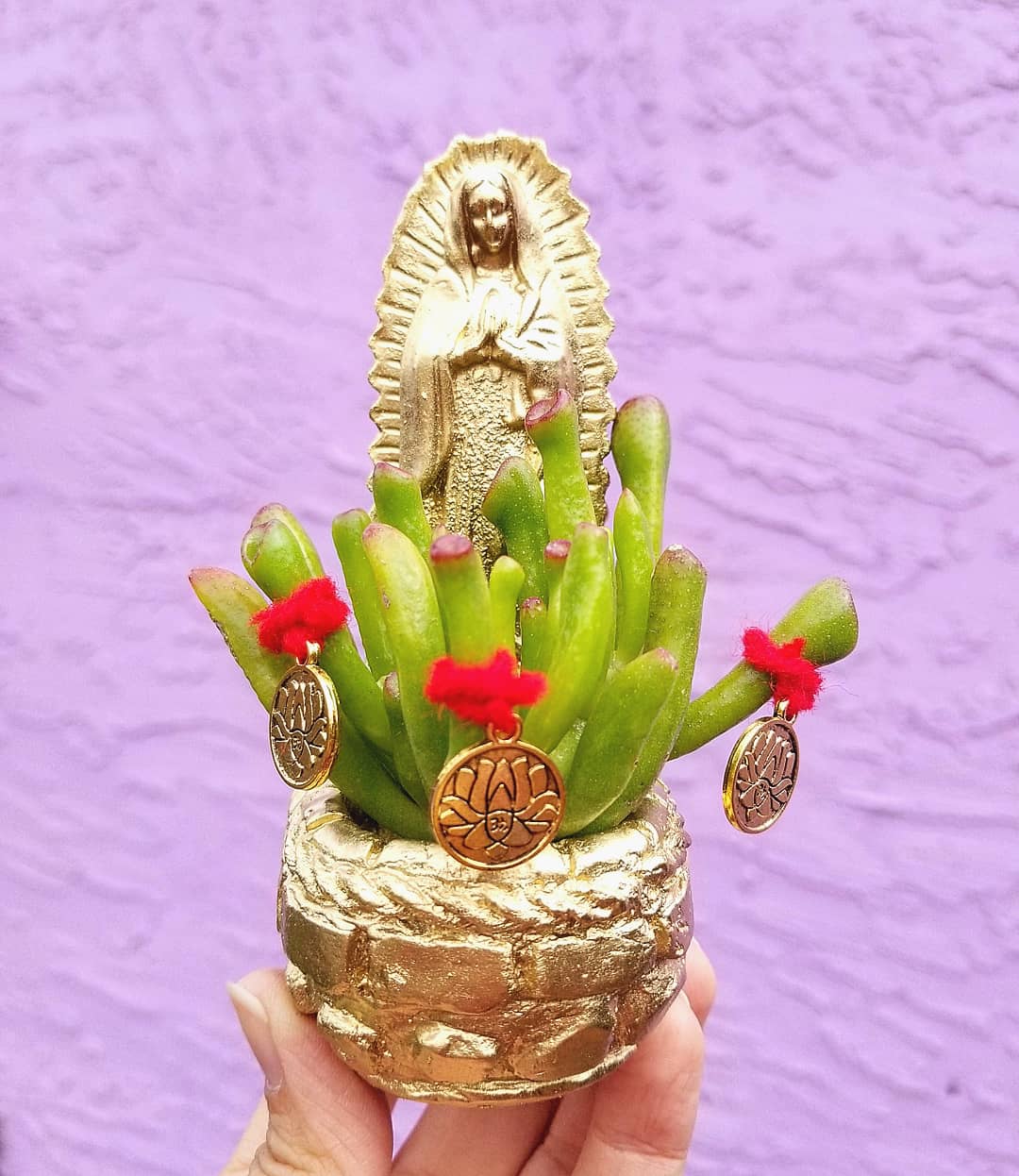 Abundance Plant Virgencitas