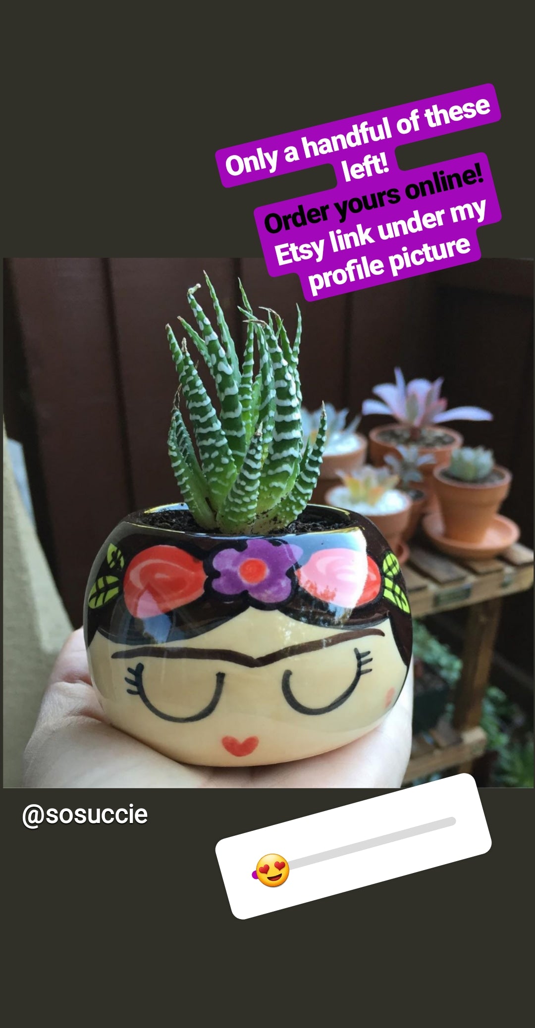 FRIDITA Small Succulent Planter