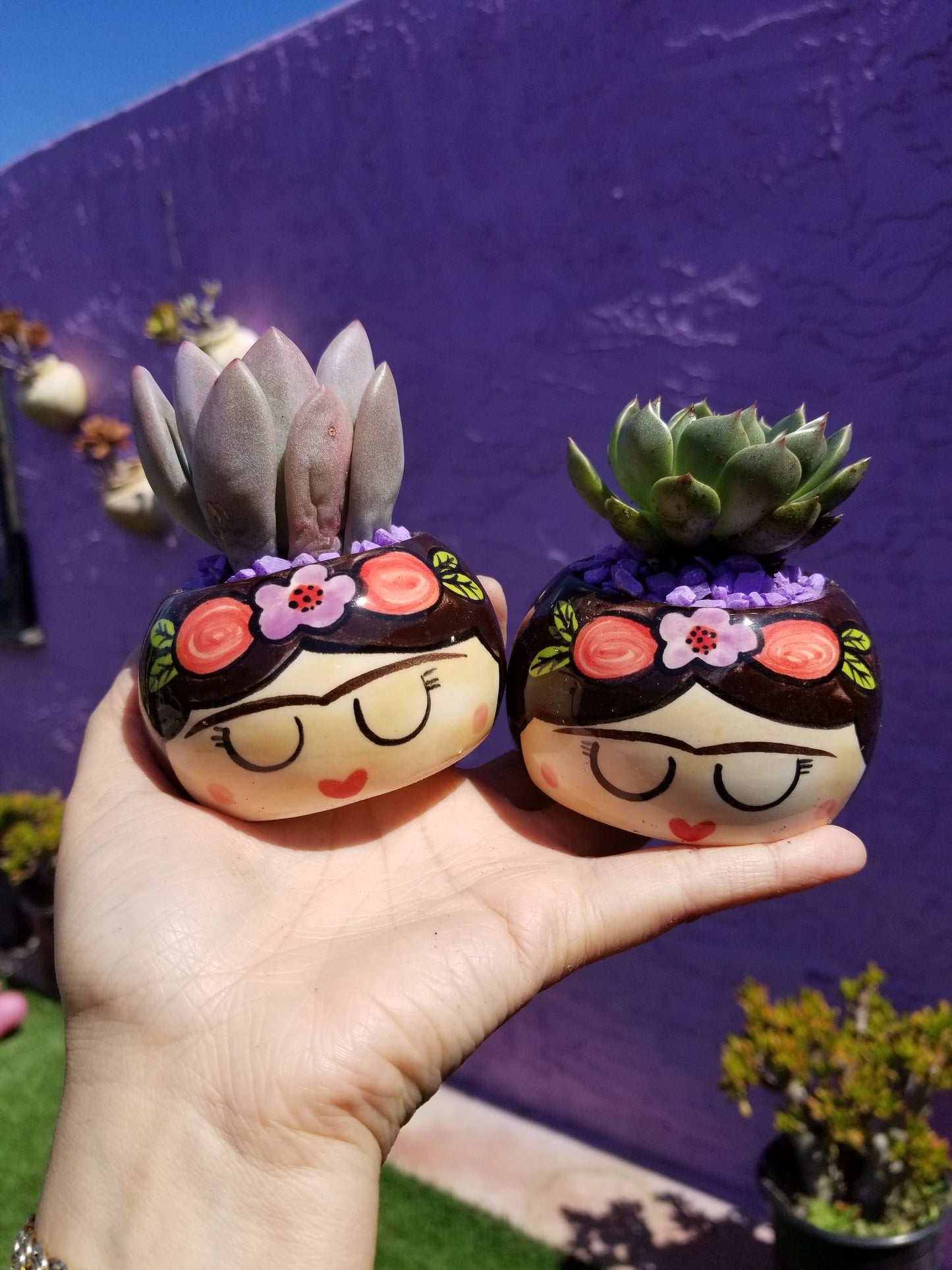 FRIDITA Small Succulent Planter