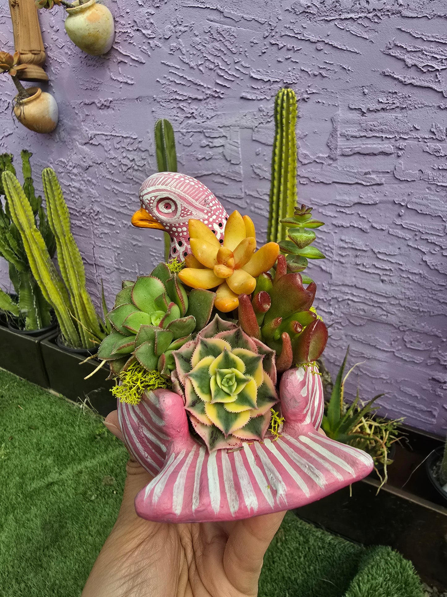 Palomita Planter ships made!