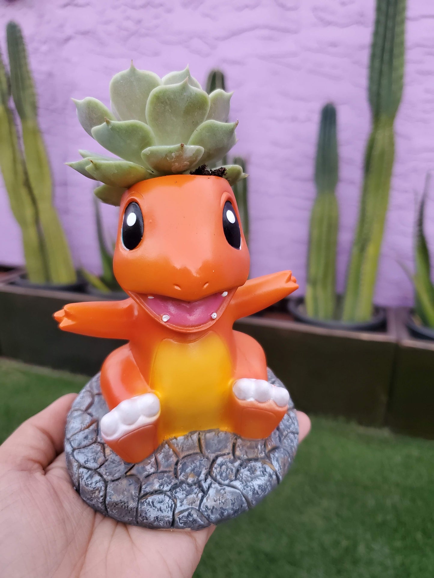 Pokemon Planters!