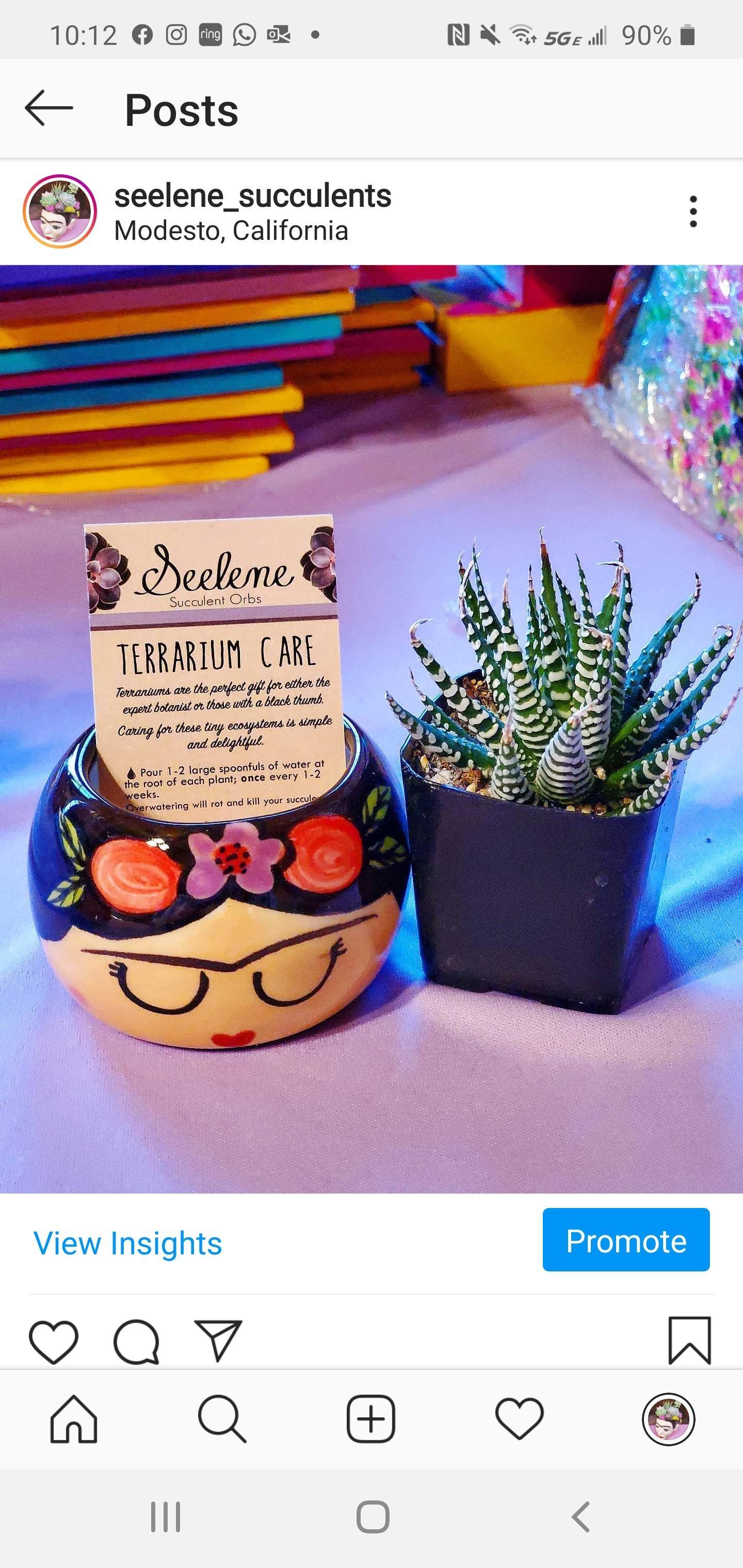 FRIDITA Small Succulent Planter