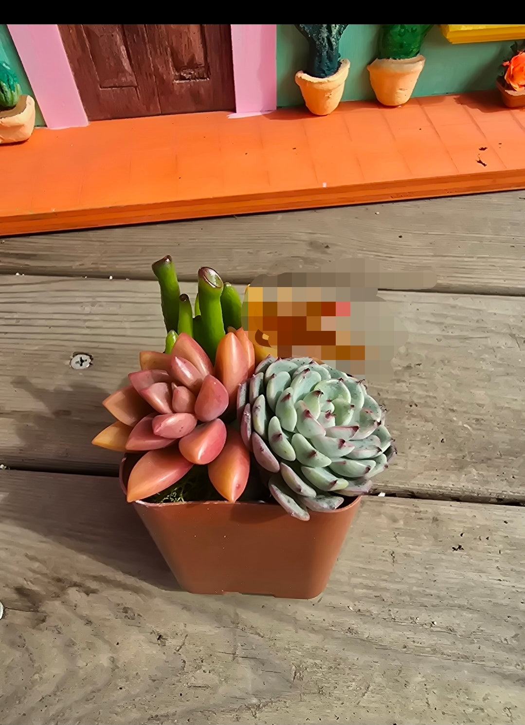 Day of the Dead Doggy planter DIY