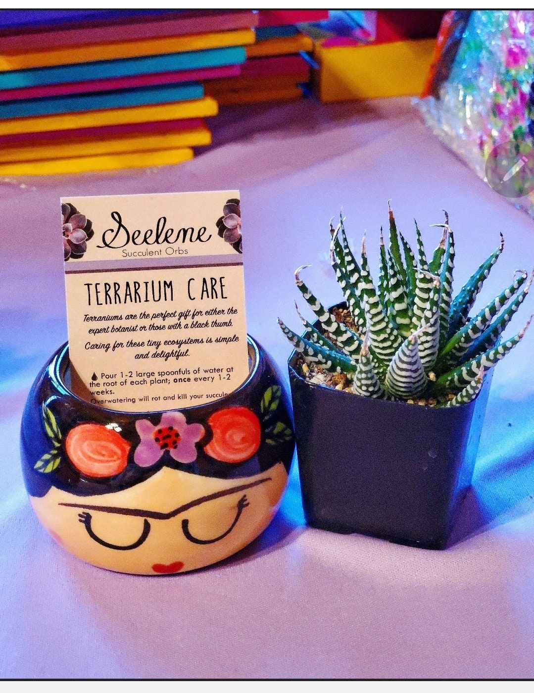 FRIDA Pot or Frida Mini /Planter