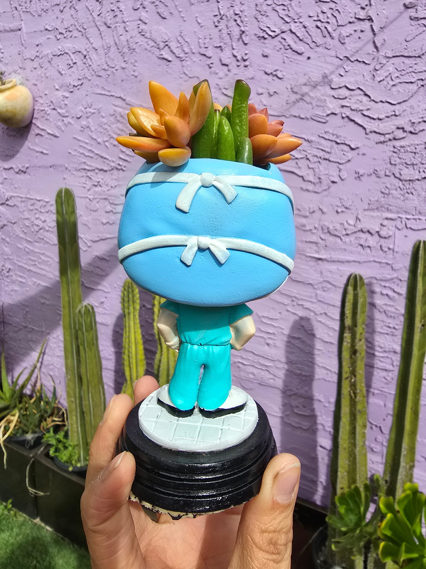 DOCTOR or RN Funko Planter! DIY