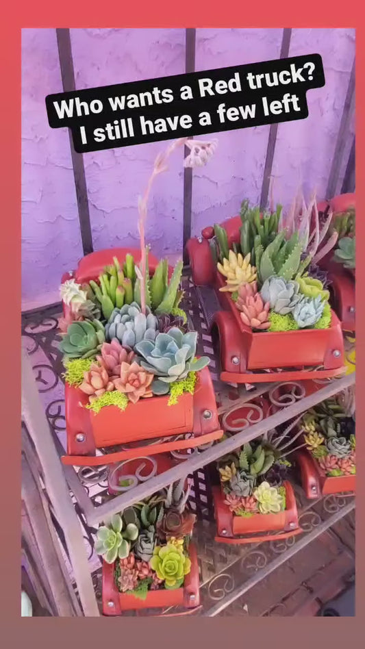 Red Truck DIY planter