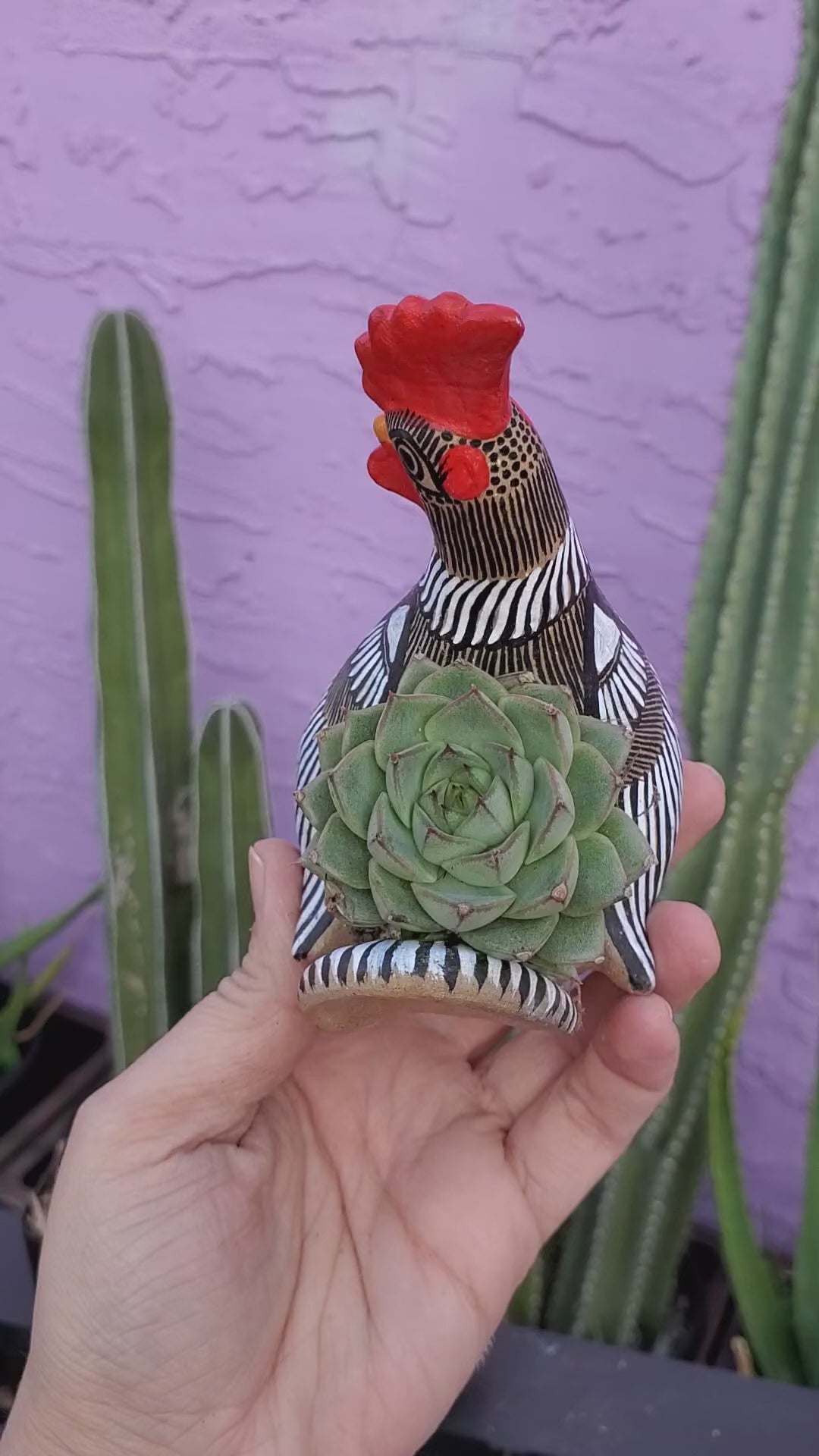 Shippable Rooster/Chicken Planter 11 inch ,8 inches and 4 inches