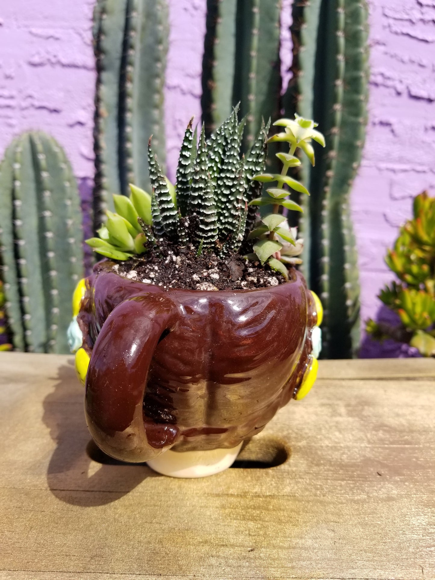 DIY Frida Planter/Mug