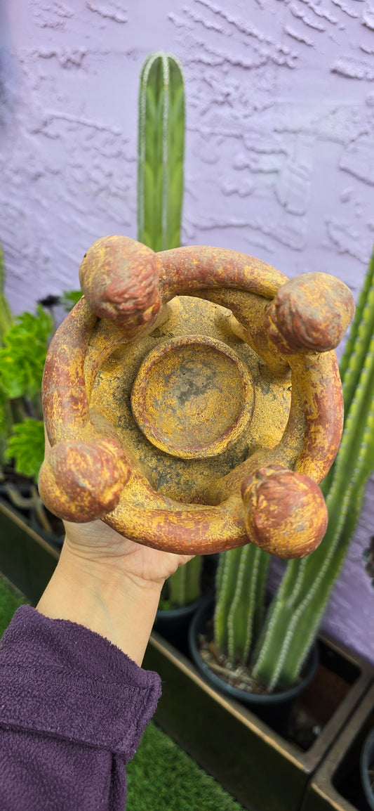 Circle of Friends and Family