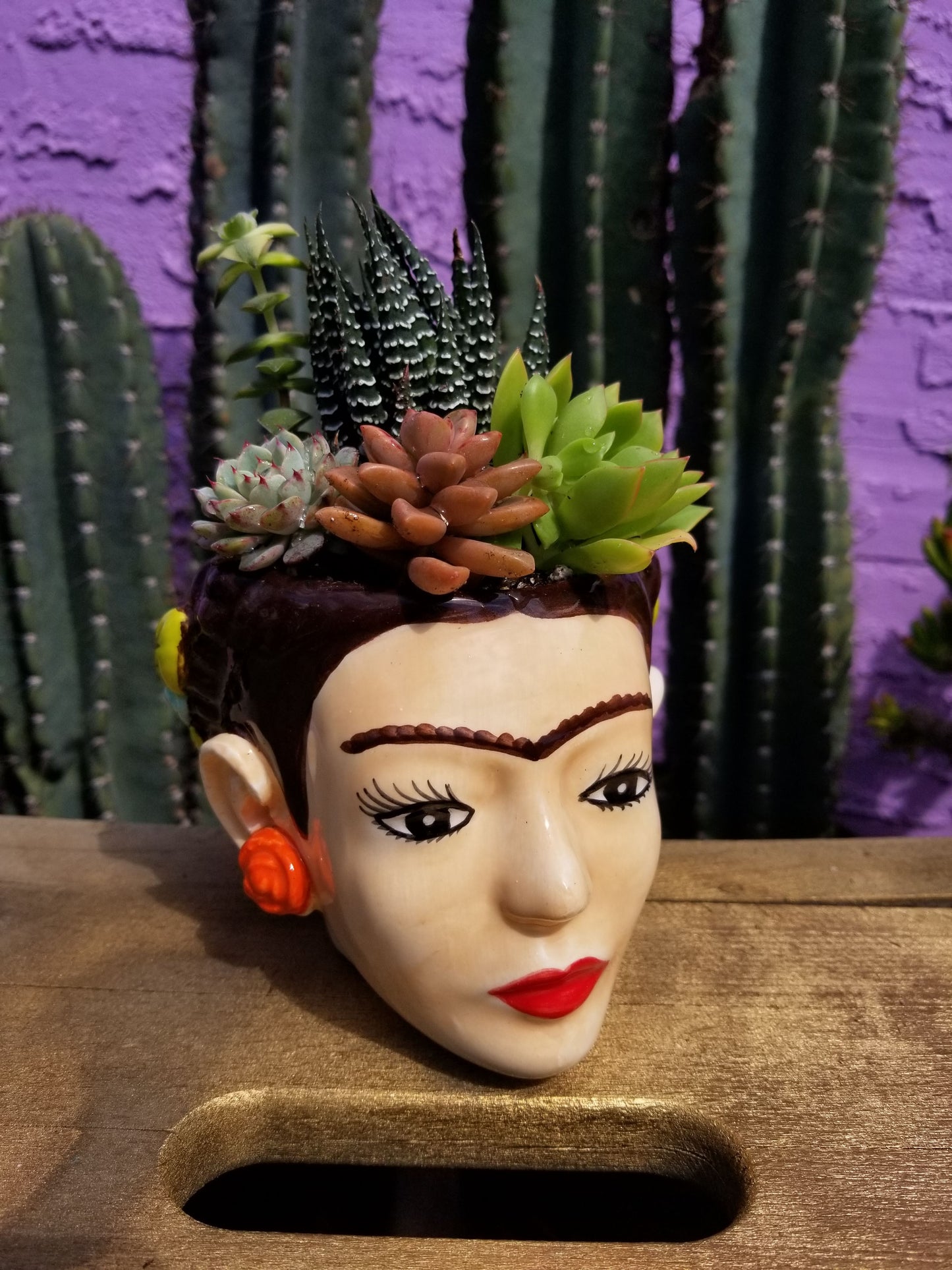 DIY Frida Planter/Mug