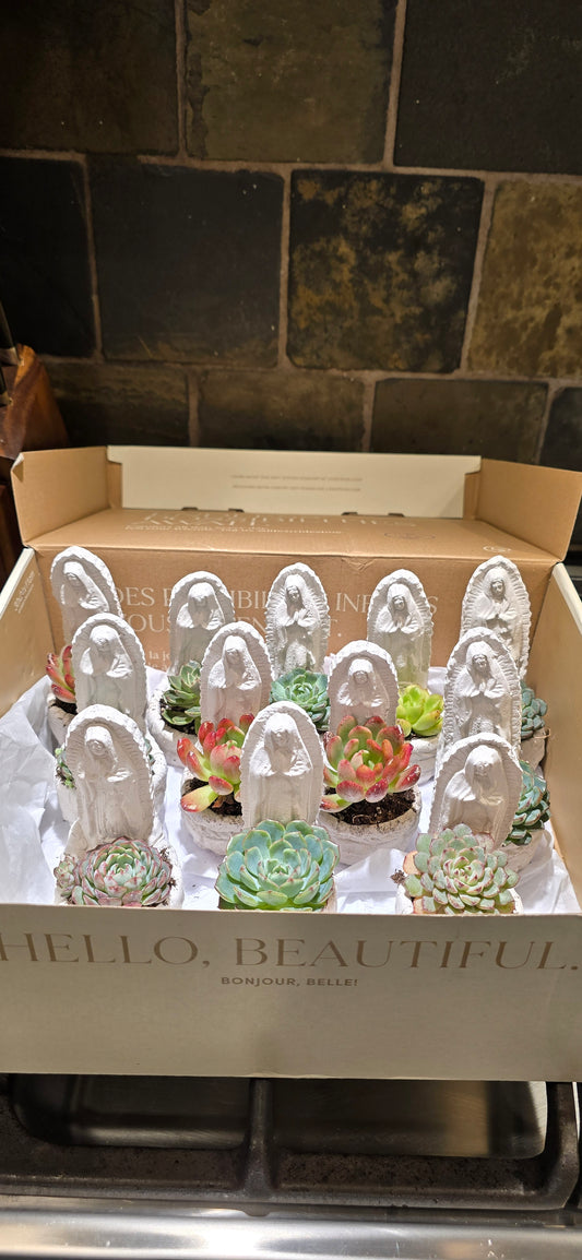 Bundle 12 Virgin planter- Mini 4 inch Virgencita Planter
