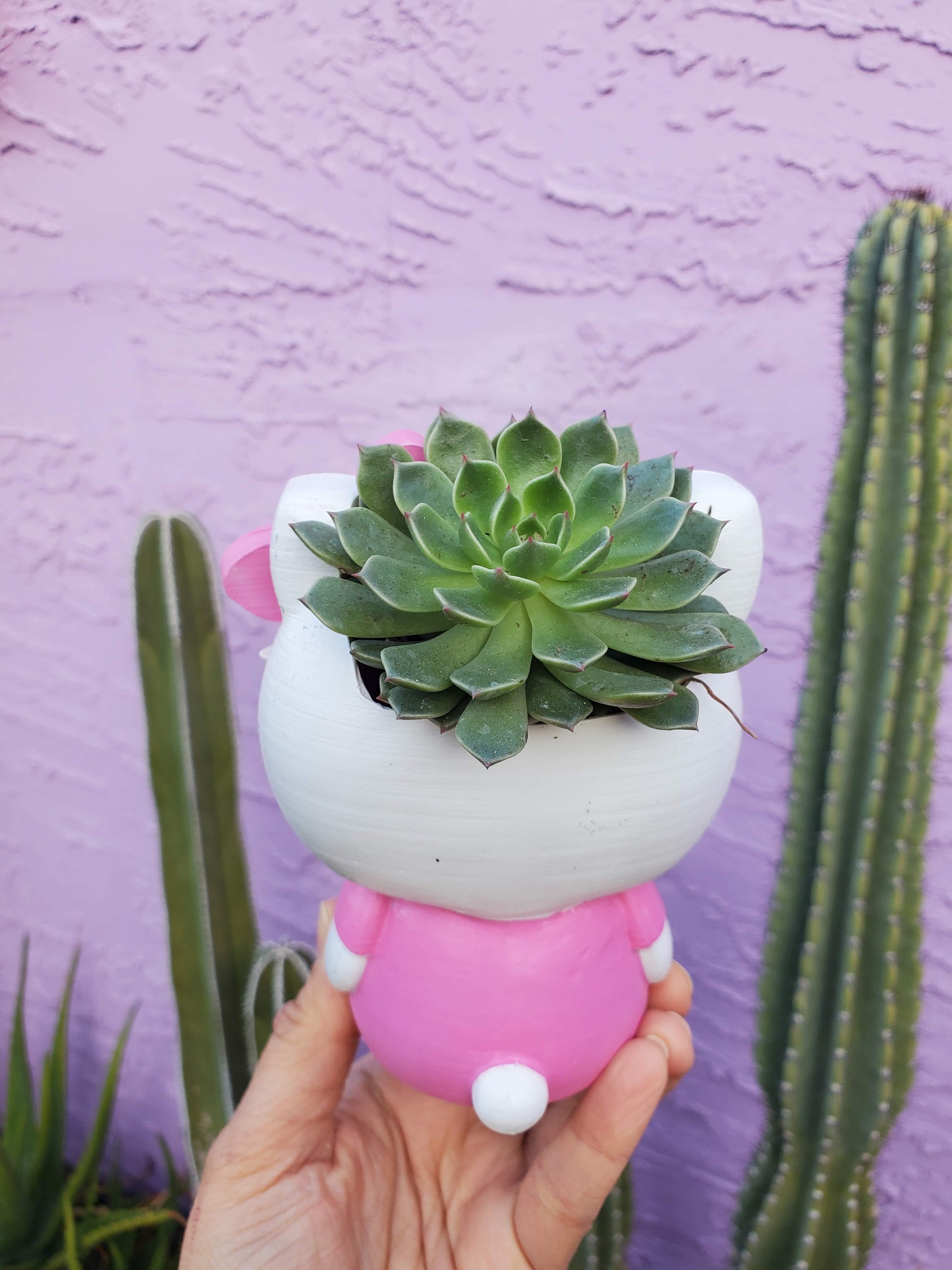 hello kitty plant pot Hello Kitty Planter, DIY – Seelenelamoon