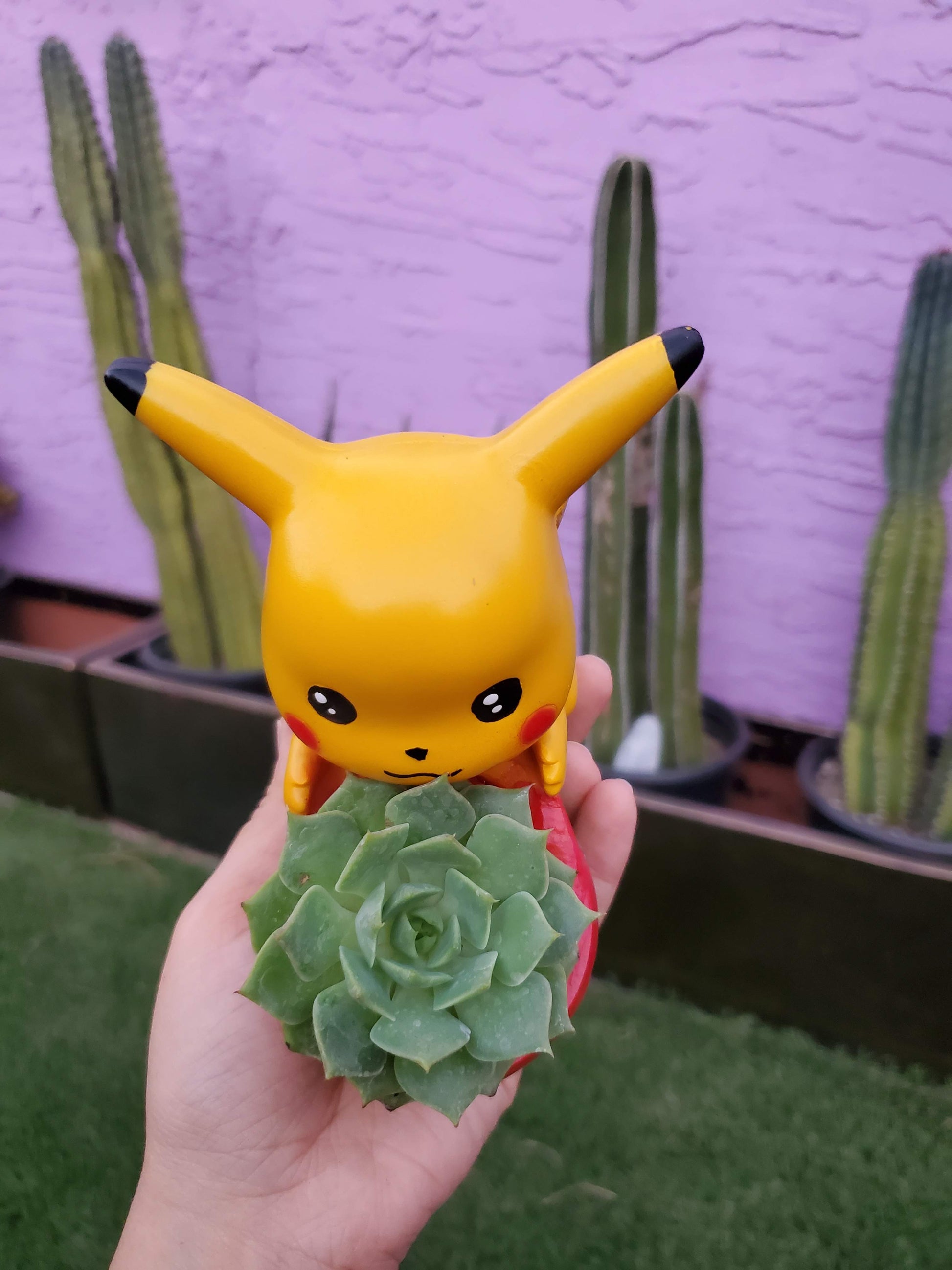 pikachu plant pot Pokemon Planters! – Seelenelamoon