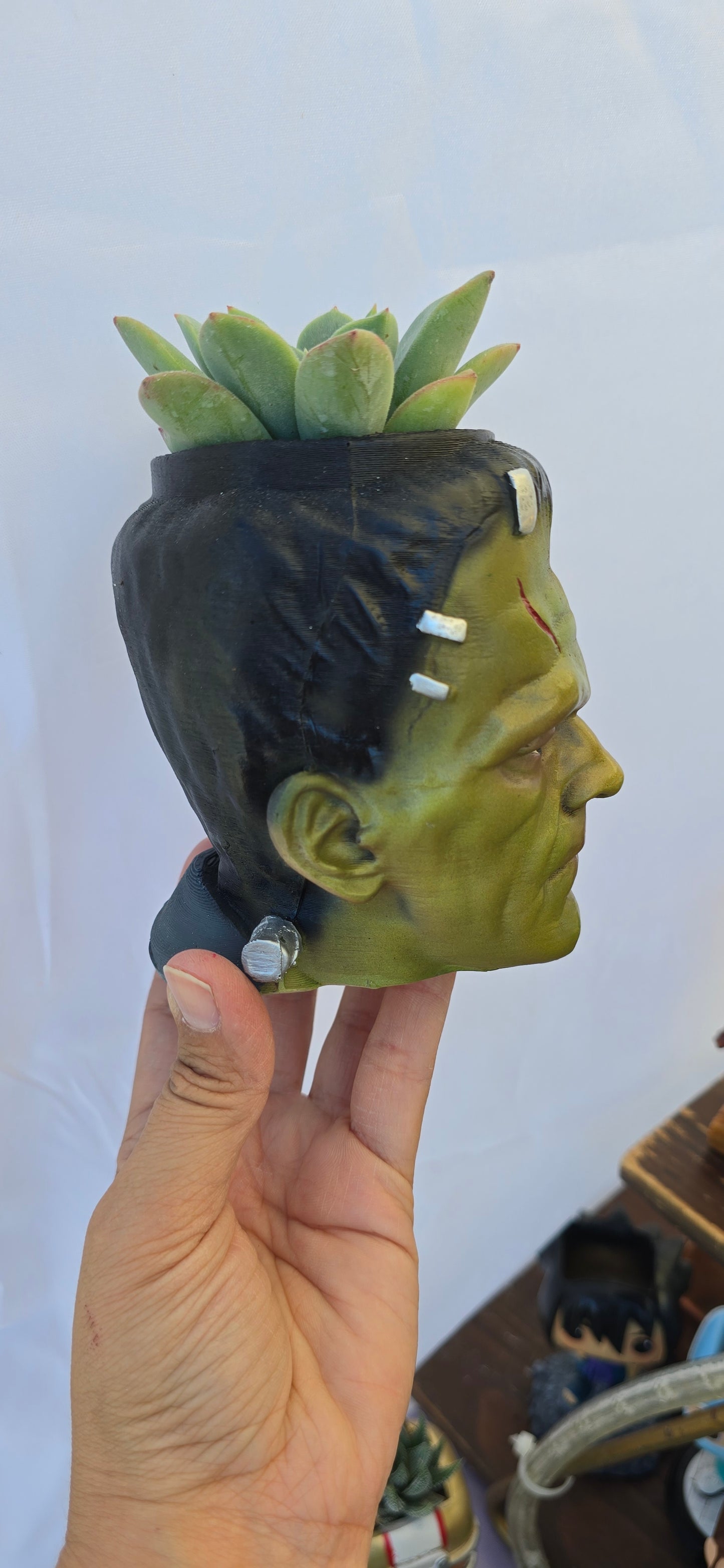 Scary Planters! Jason Chucky Tiffany Coraline Jason Michael Jack Sally  Frankenstein Elizabeth -Funko style DIY PLANTER