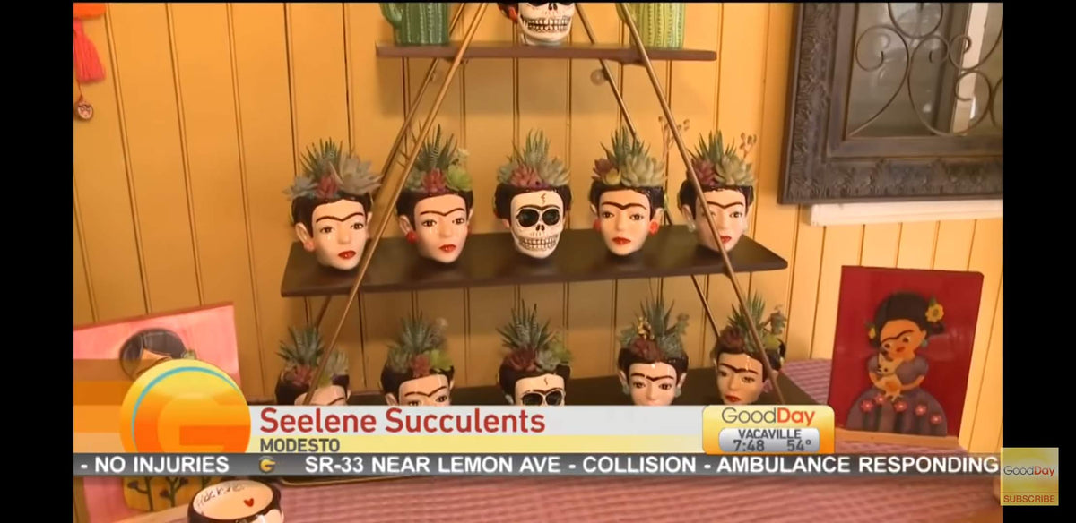 DIY Frida Planter/Mug