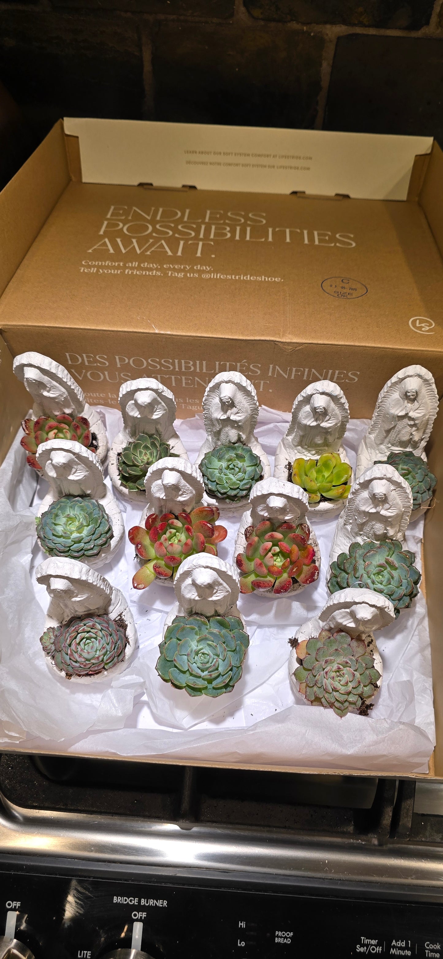 Bundle 12 Virgin planter- Mini 4 inch Virgencita Planter