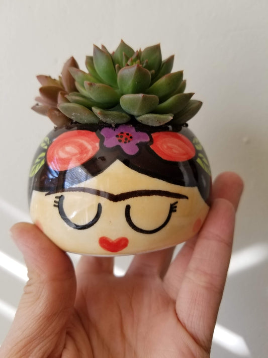 FRIDITA Small Succulent Planter