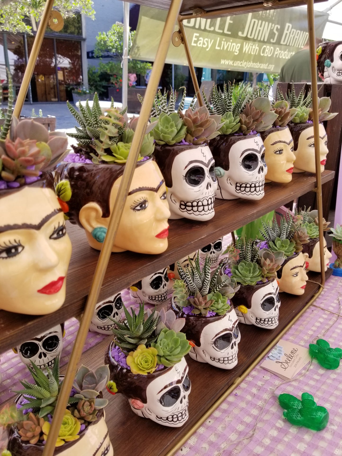 DIY Frida Planter/Mug