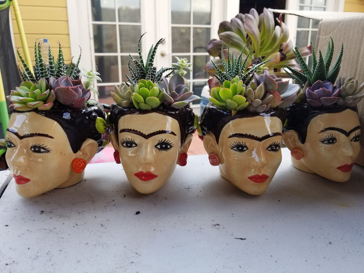 DIY Frida Planter/Mug