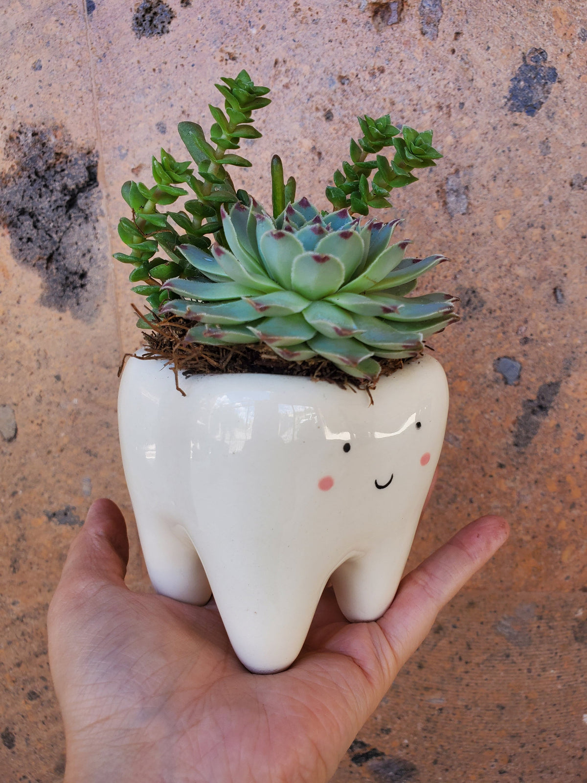 Cute Tooth Ceramic planter