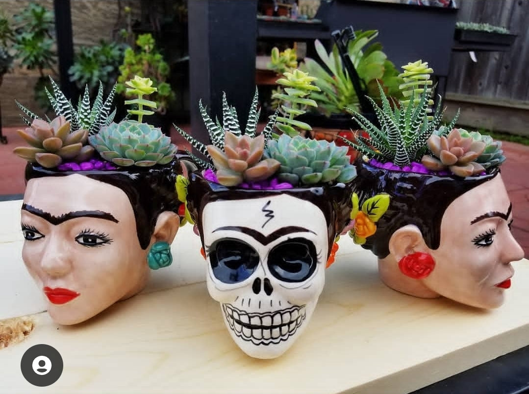 DIY Frida Planter/Mug