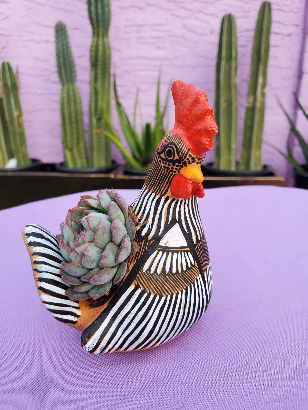 Shippable Rooster/Chicken Planter  11  inch ,8  inches and 4 inches