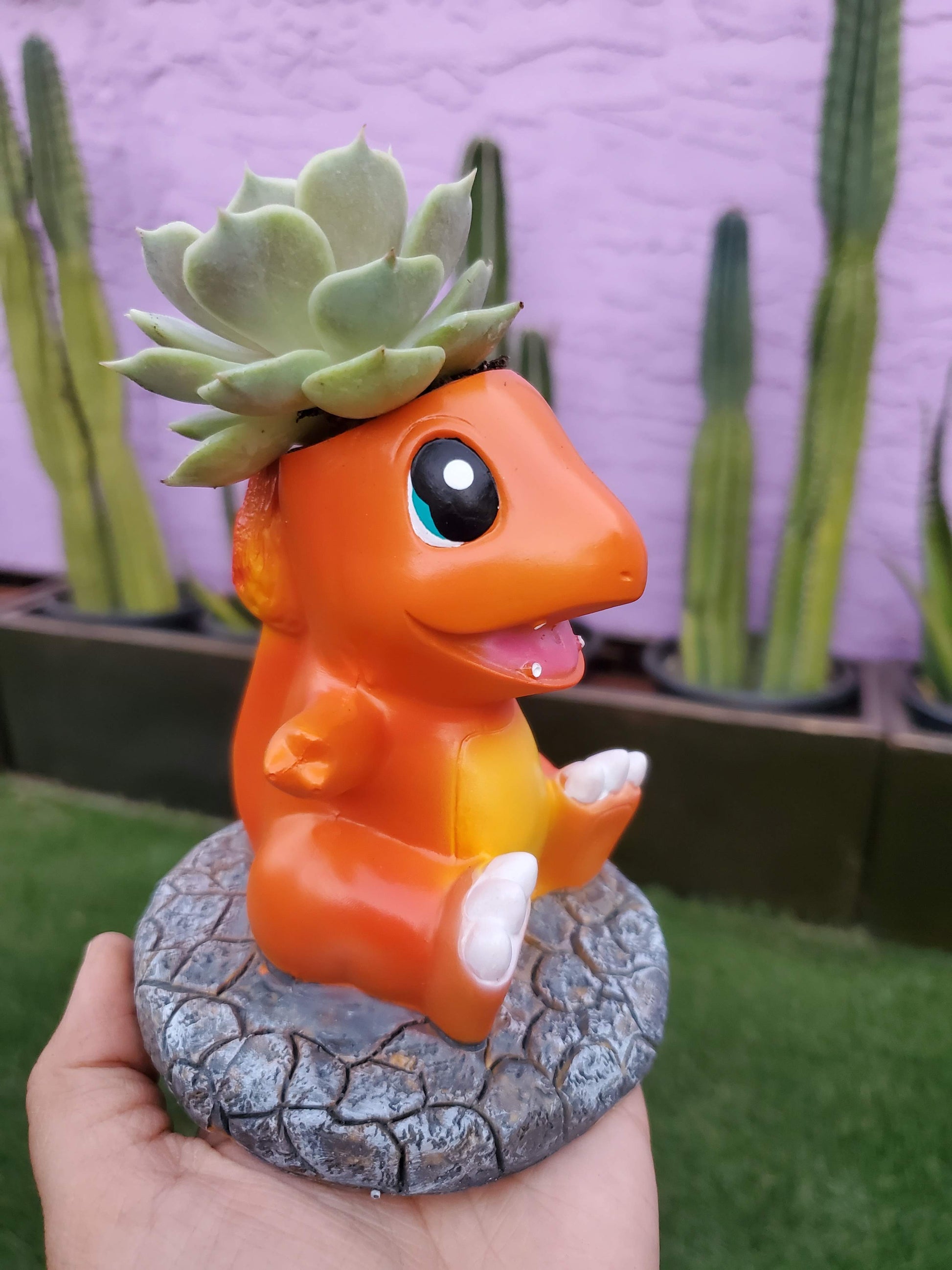 charmander plant pot Pokemon Planters! – Seelenelamoon