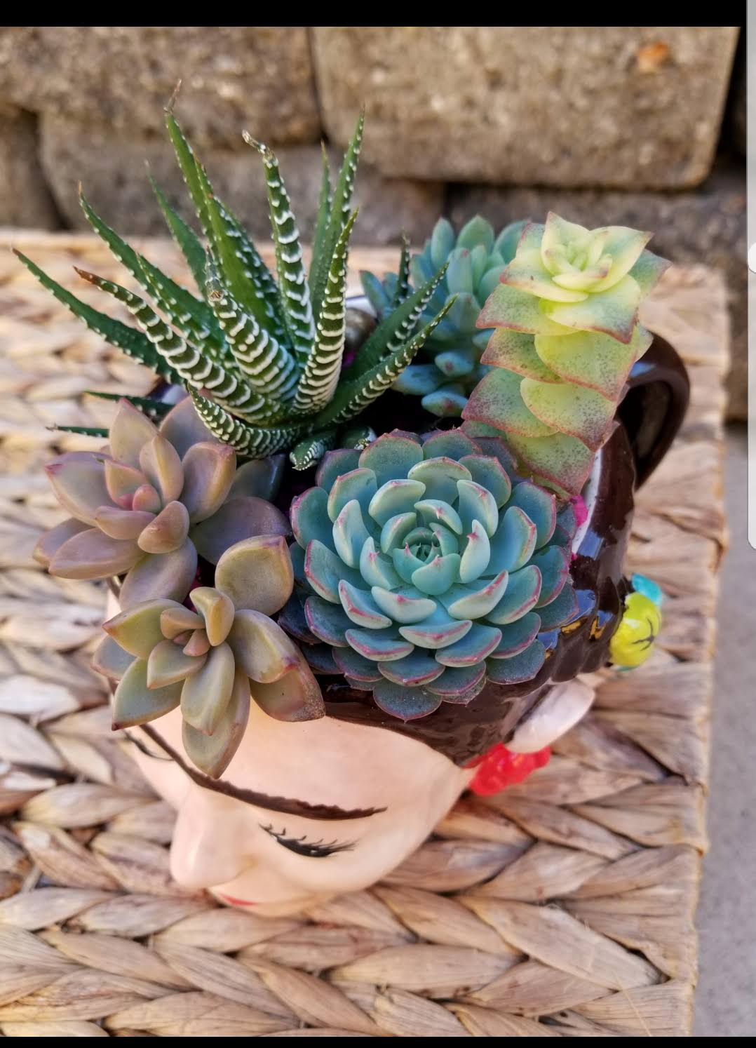 DIY Frida Planter/Mug