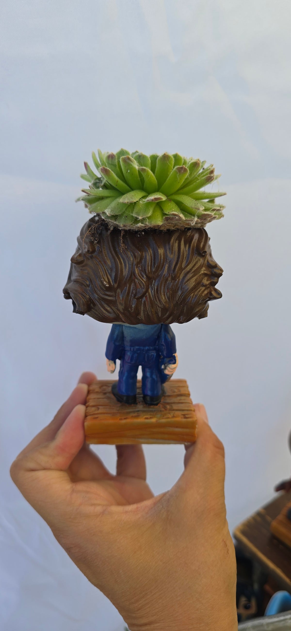 Scary Planters! Jason Chucky Tiffany Coraline Jason Michael Jack Sally  Frankenstein Elizabeth -Funko style DIY PLANTER