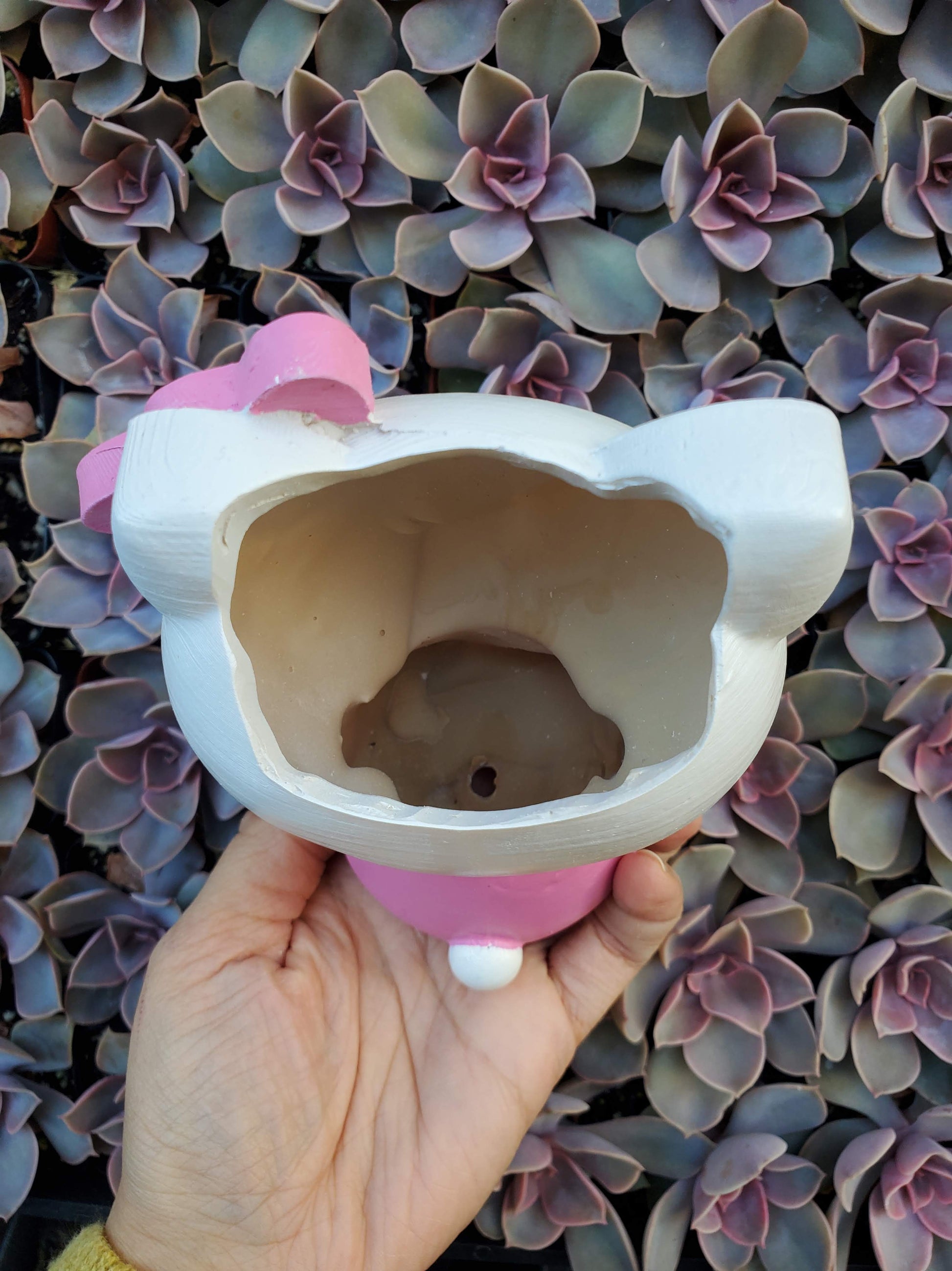 hello kitty succulent Hello Kitty Planter, DIY – Seelenelamoon